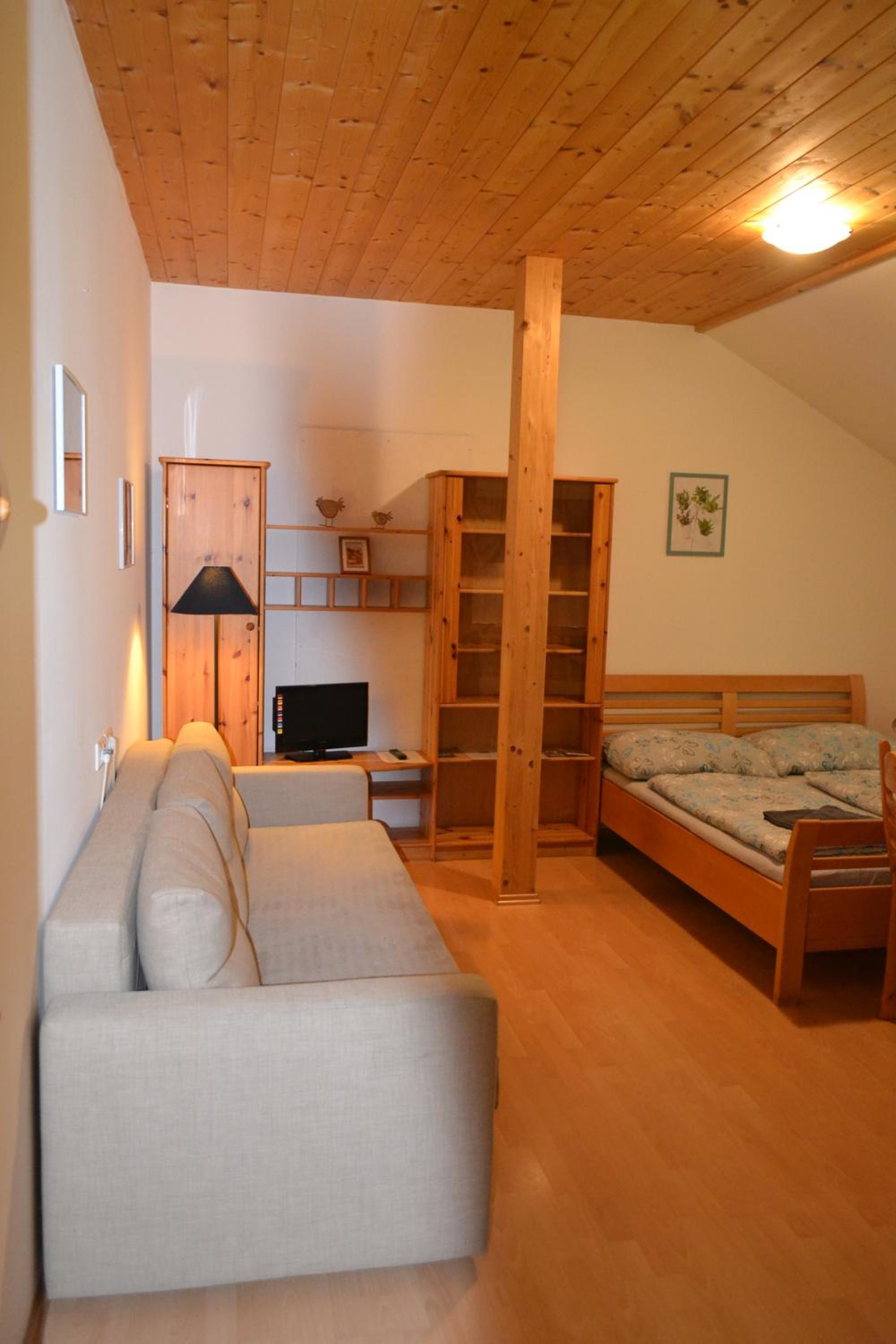 Studio (2-3 Adults)
