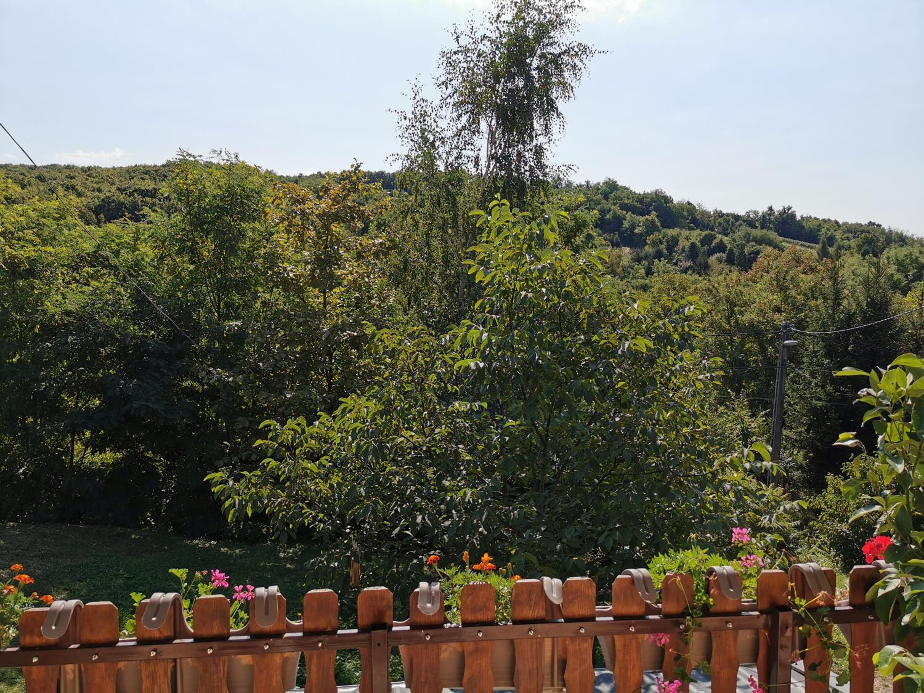 Apartment with Mountain View - Photo 34