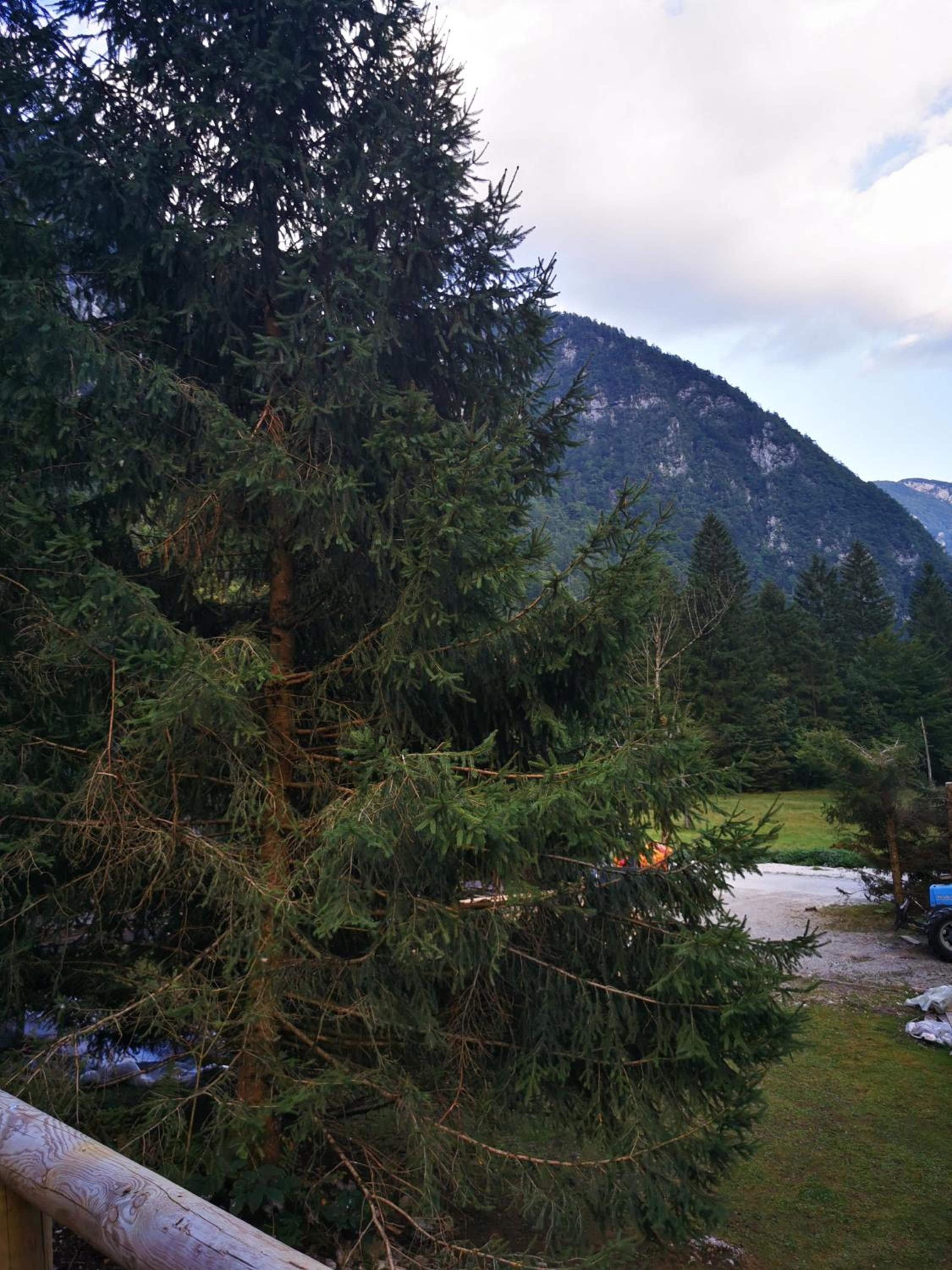 Tent - Photo 15