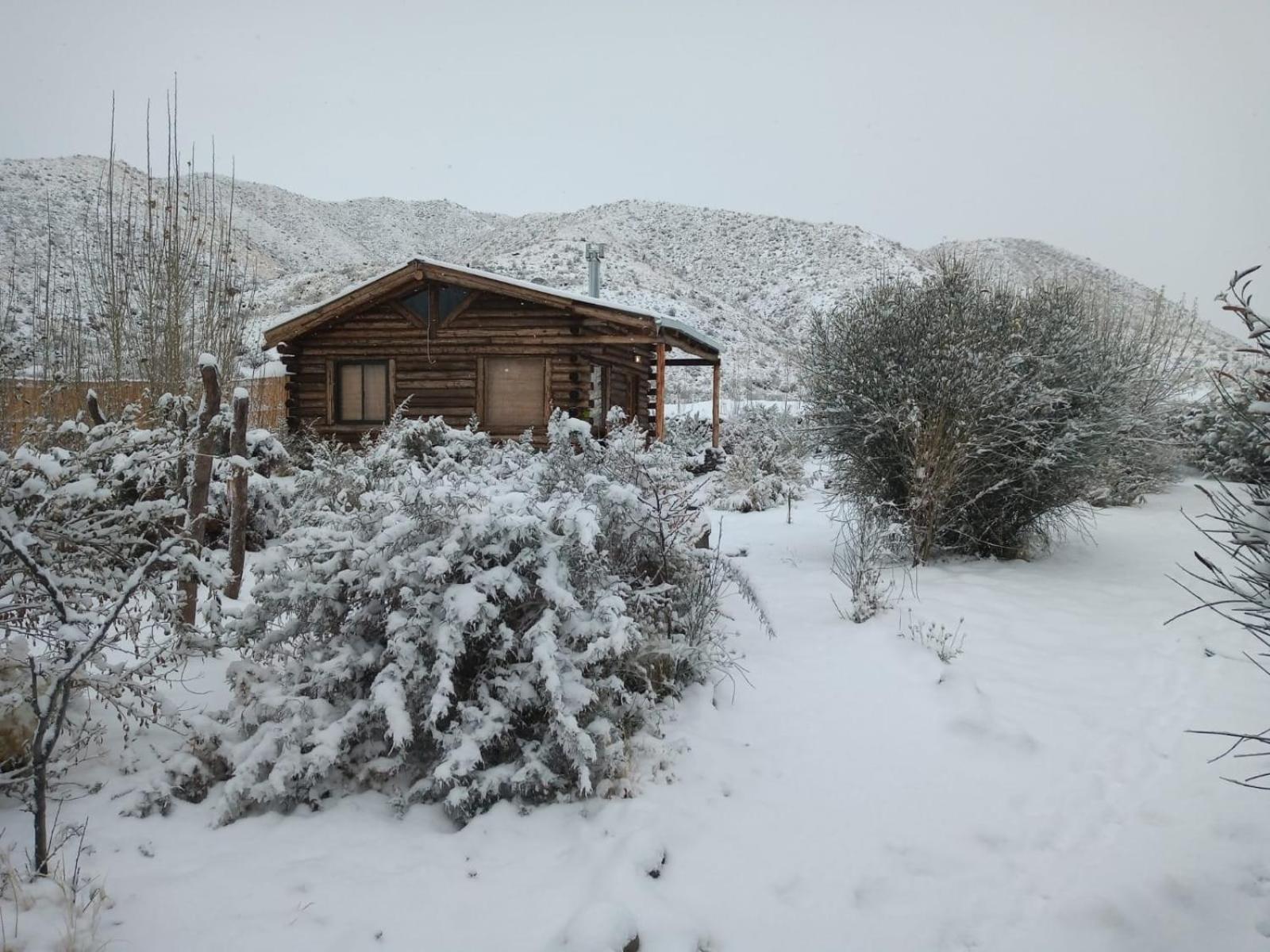 One-Bedroom Chalet photo 2