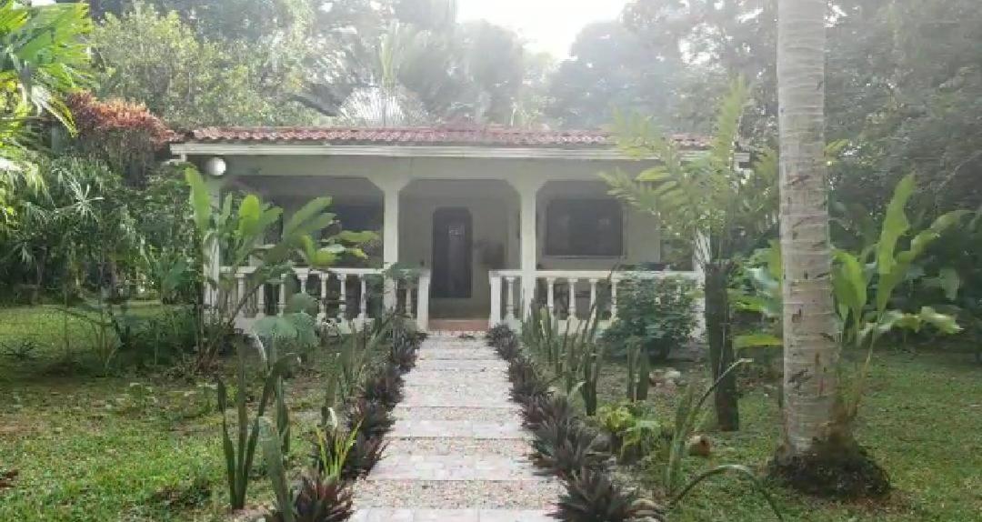 Vacation Home photo 2