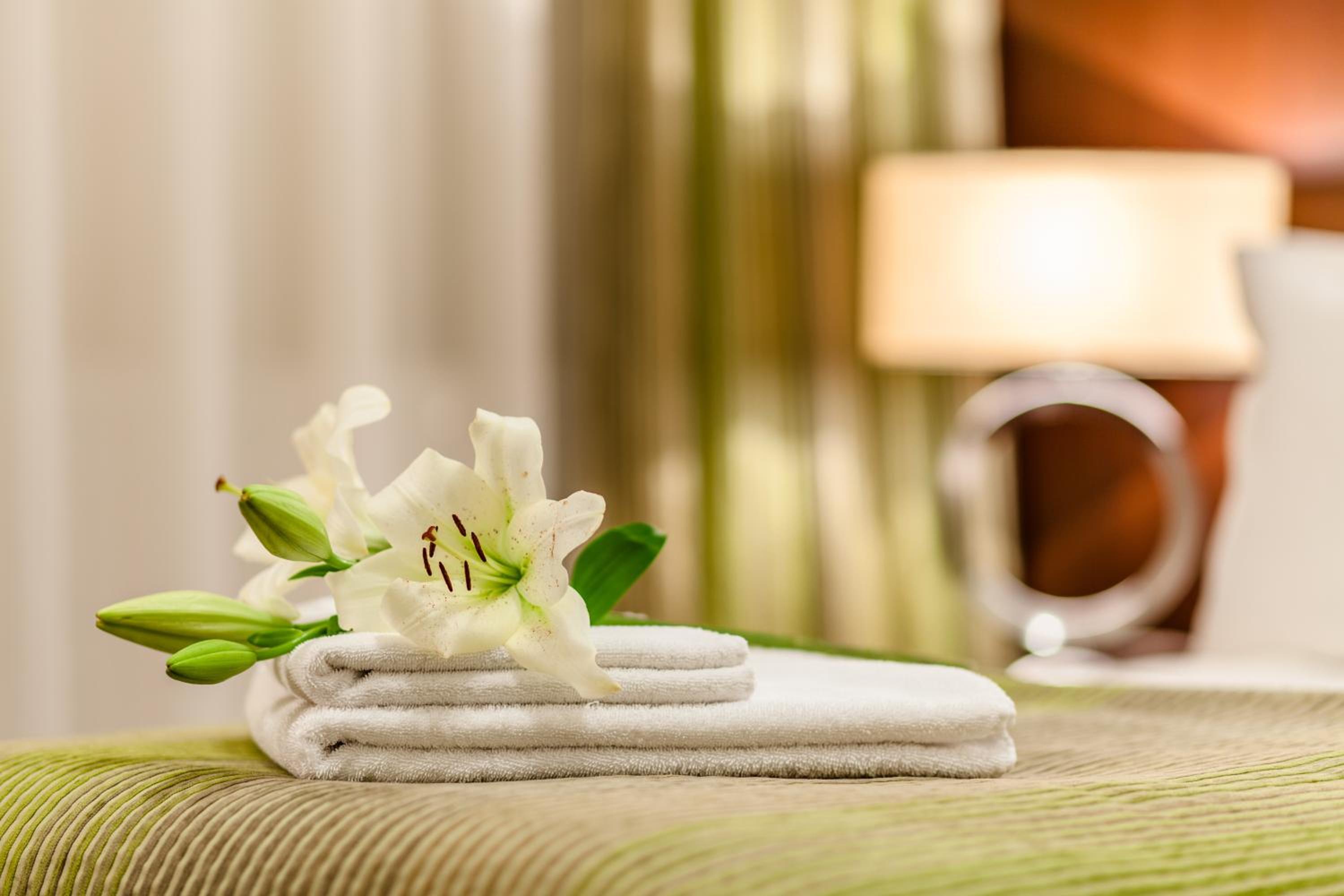 Superior Matrimonial or Twin Room - Photo 3