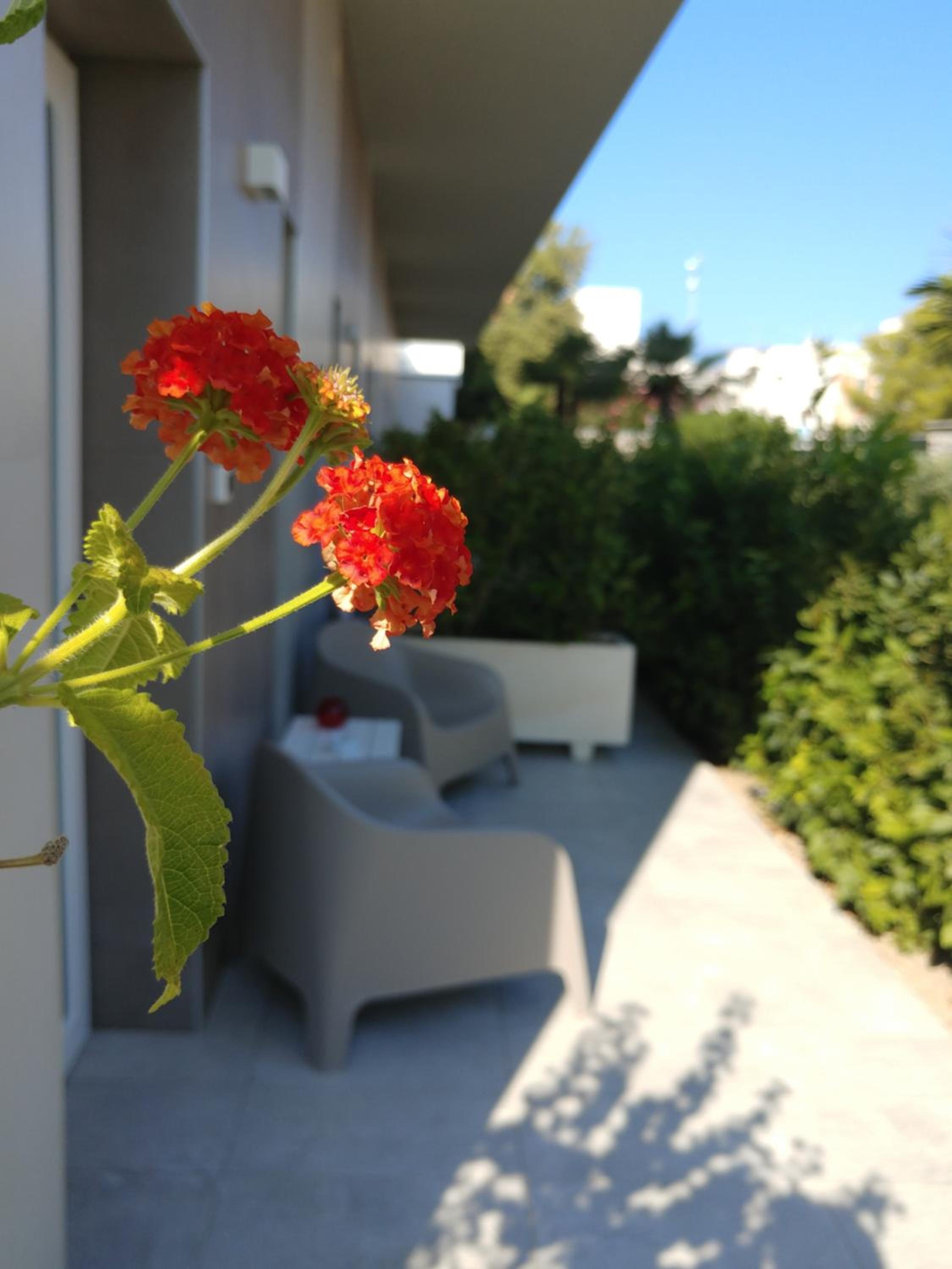 Double Room with Patio - Photo 2
