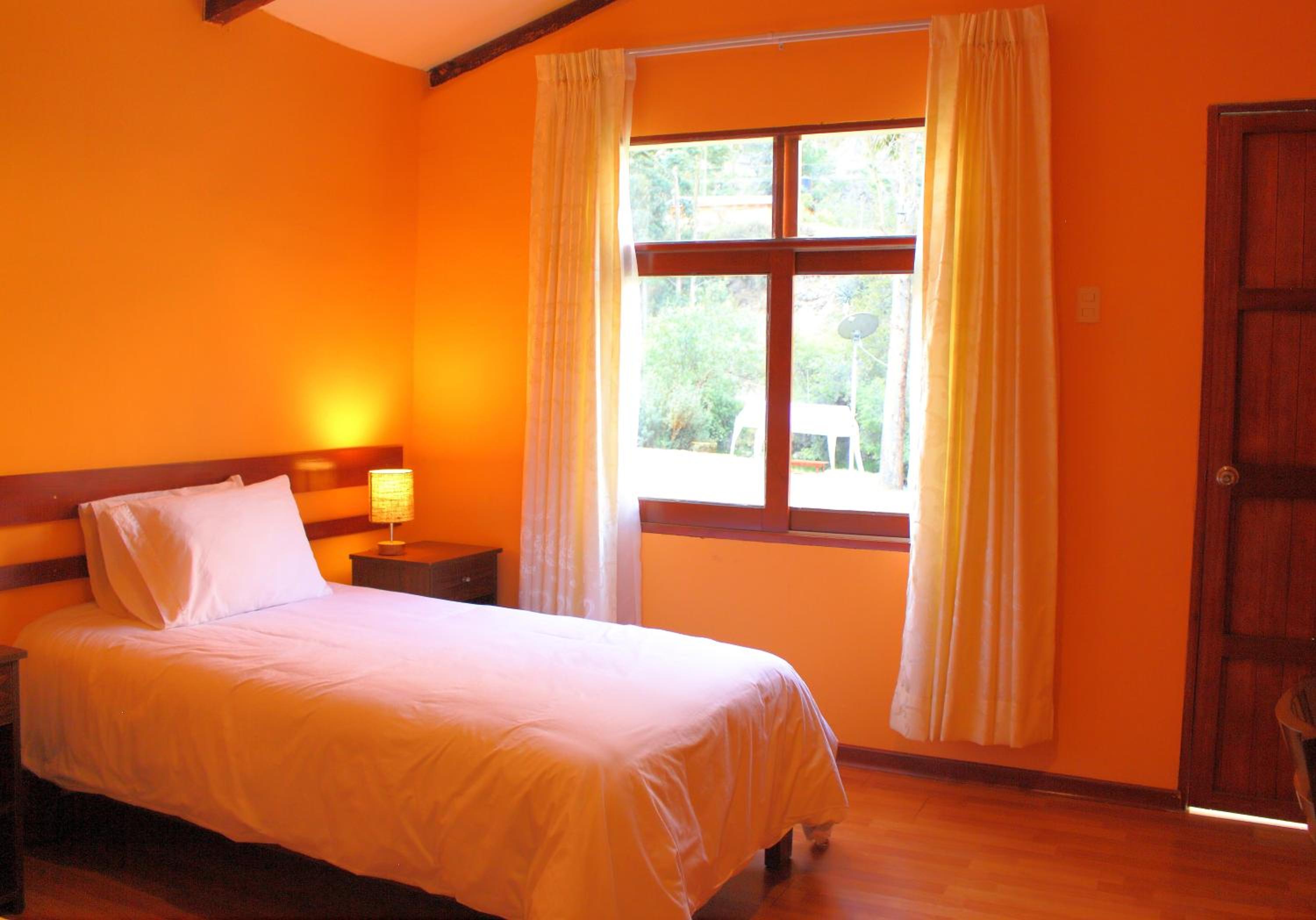 Single Room photo 1