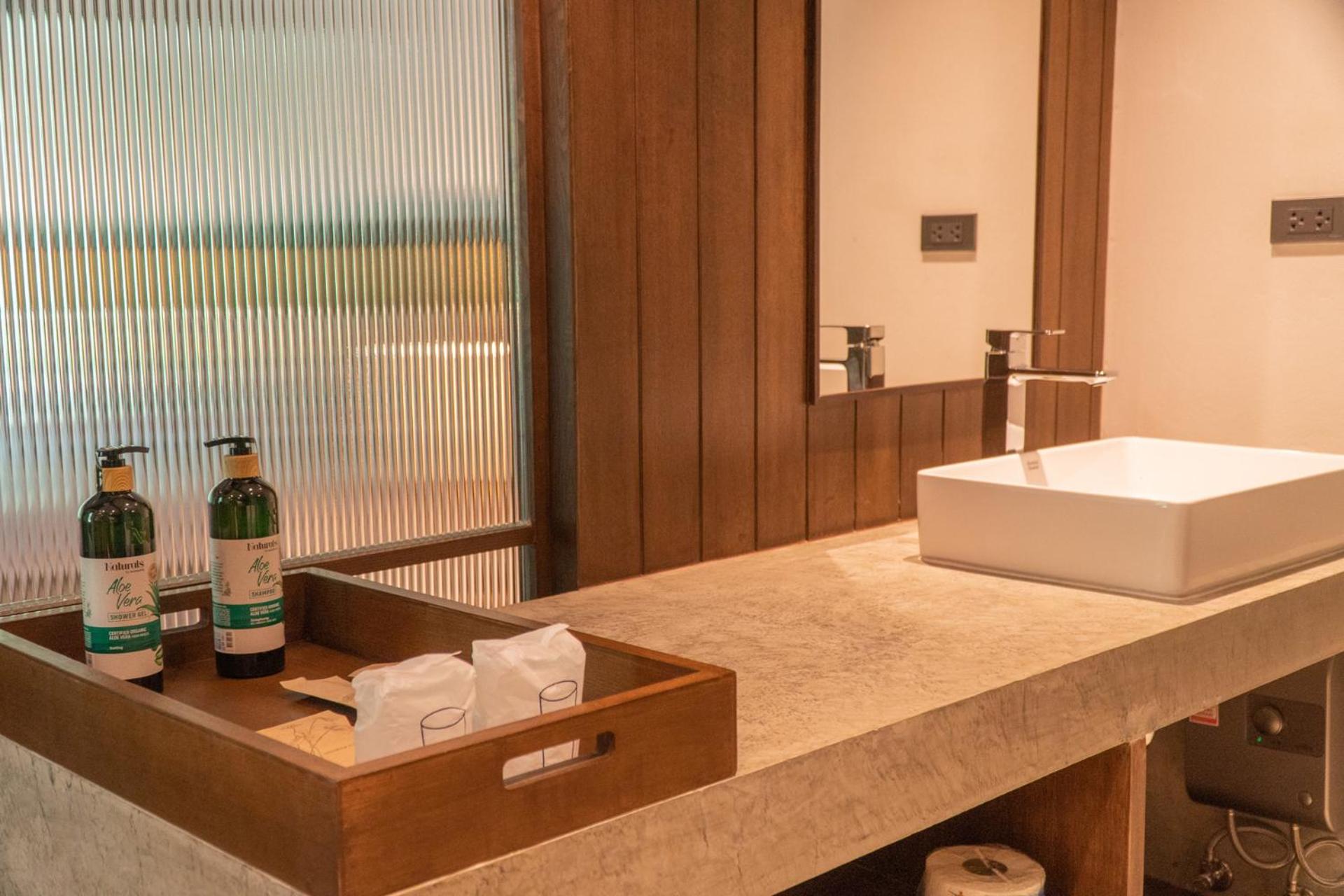 Deluxe Double or Twin Room - Photo 6