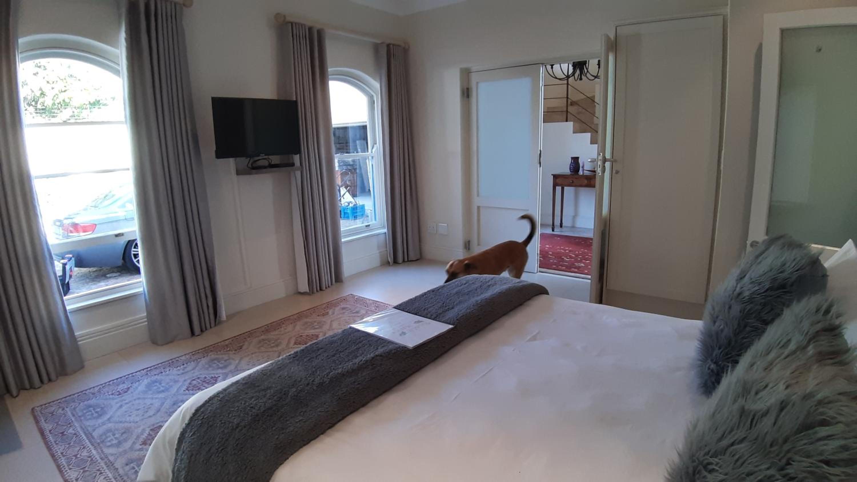 Business Single Room photo 2