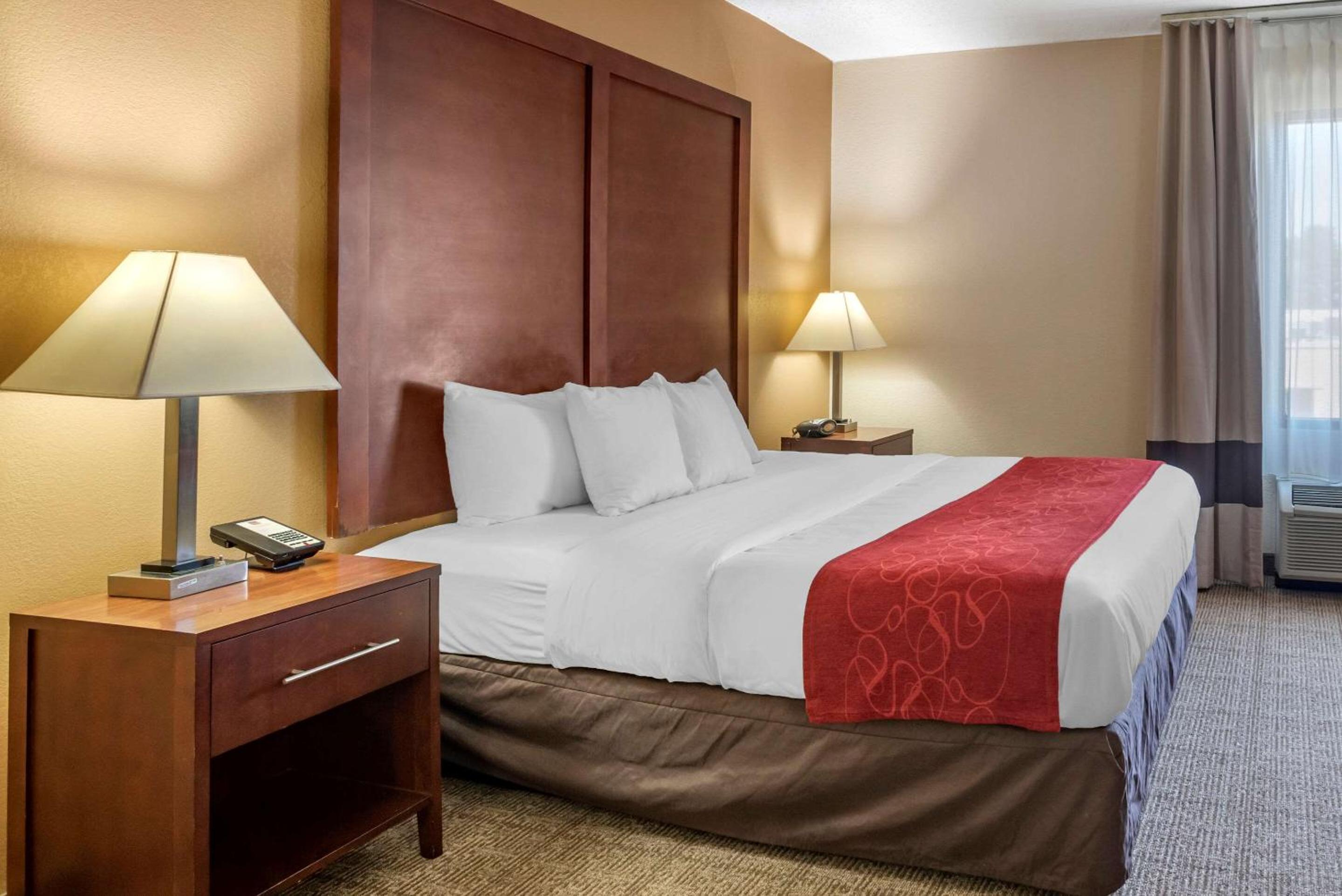 Deluxe King Suite - Non-Smoking - Photo 3