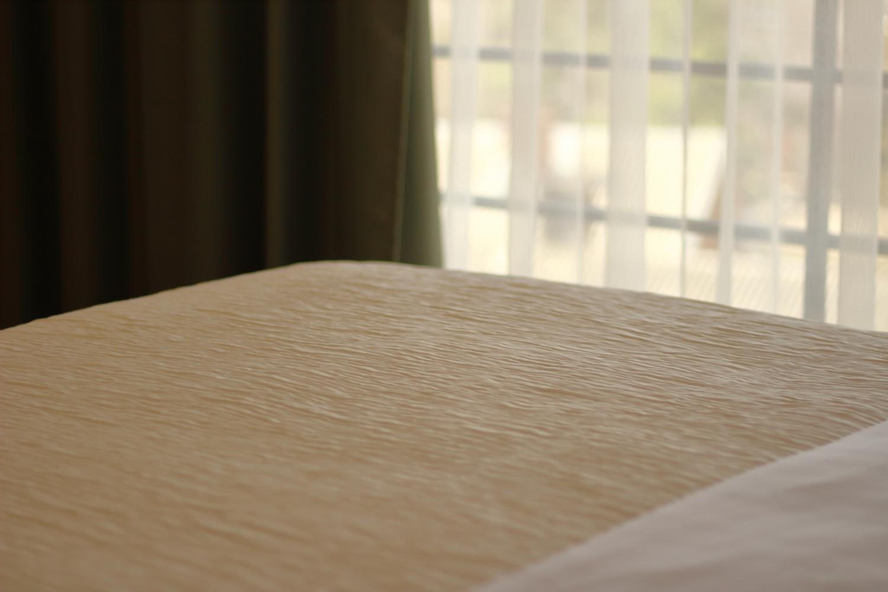 Business Double Room - Photo 4