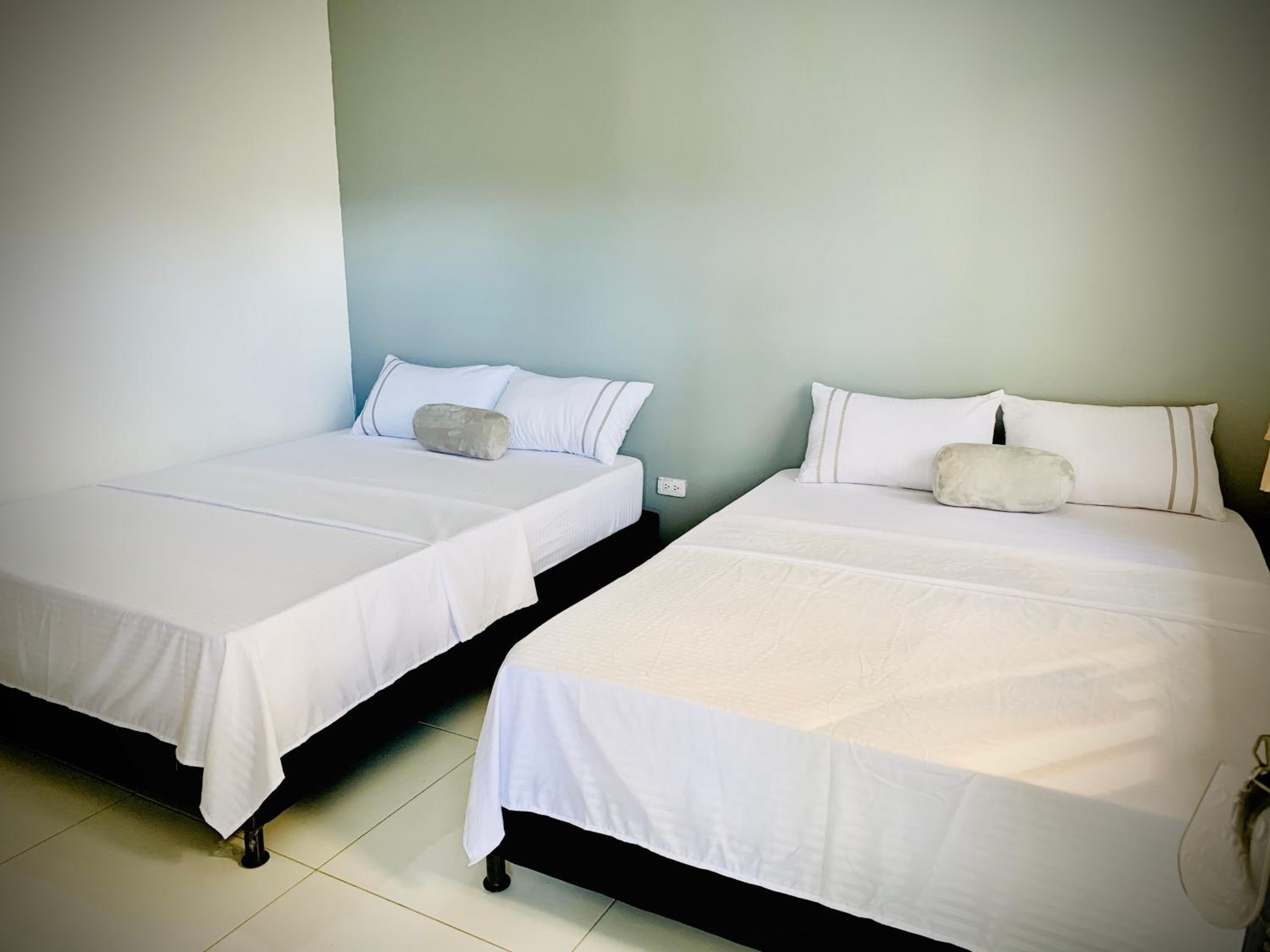 Twin Room photo 3