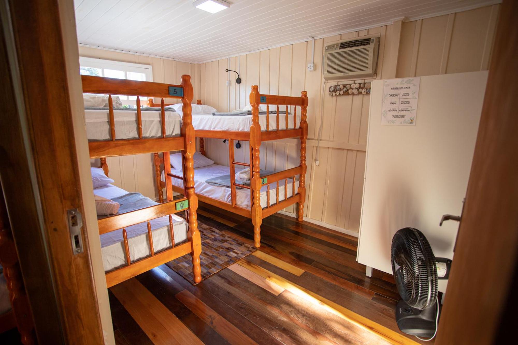 Bunk Bed in Mixed Dormitory Room photo 1