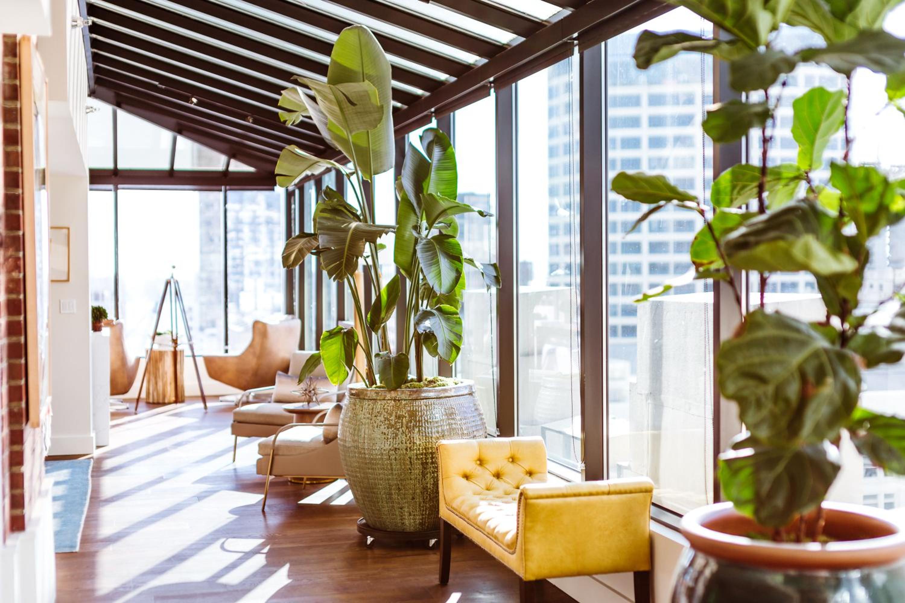 The Roosevelt Suite