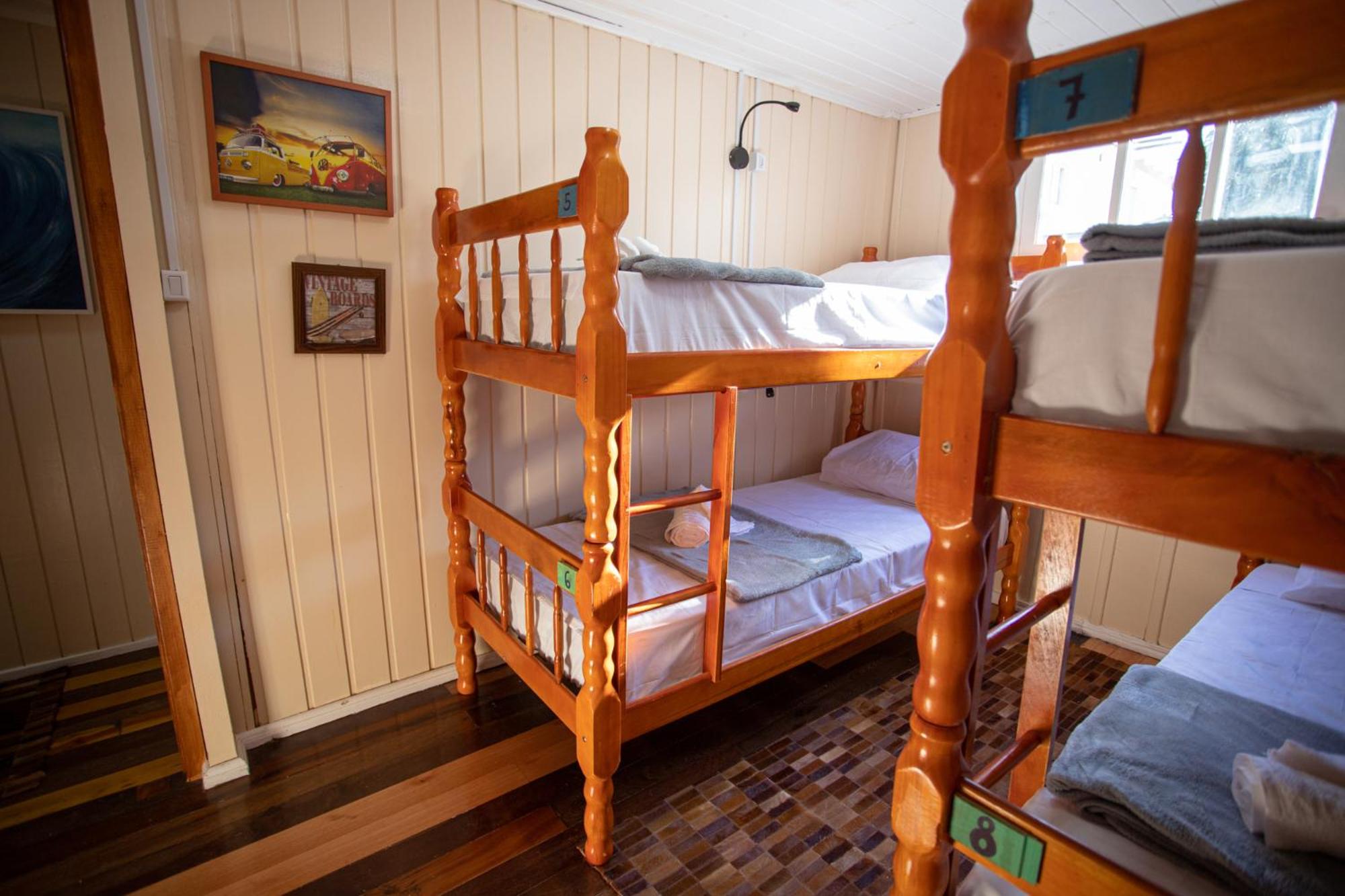 Bunk Bed in Mixed Dormitory Room photo 2