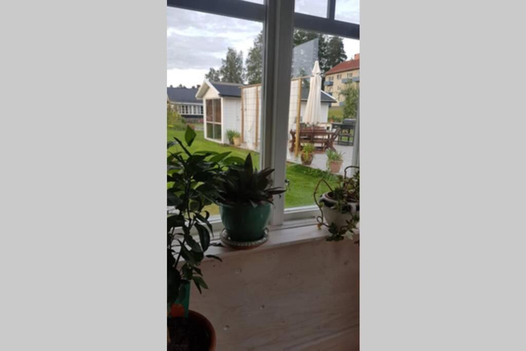 One-Bedroom House - Photo 11
