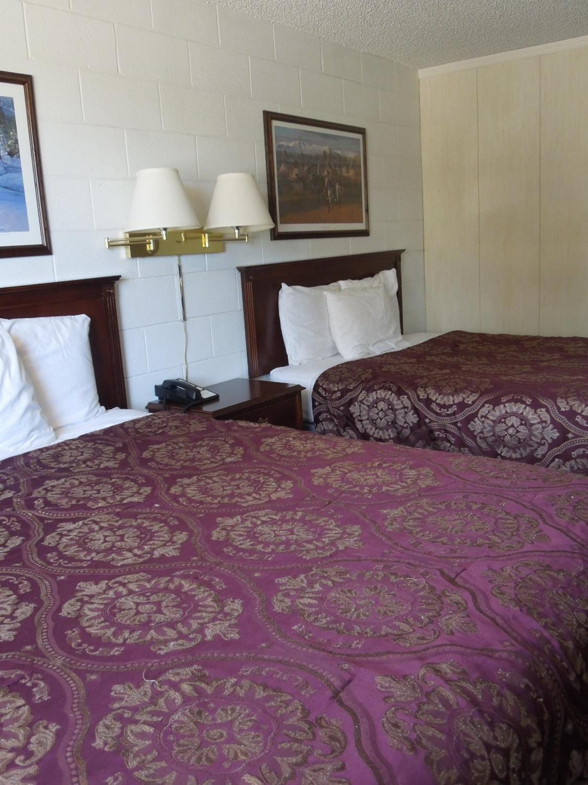 Standard Double Suite photo 1