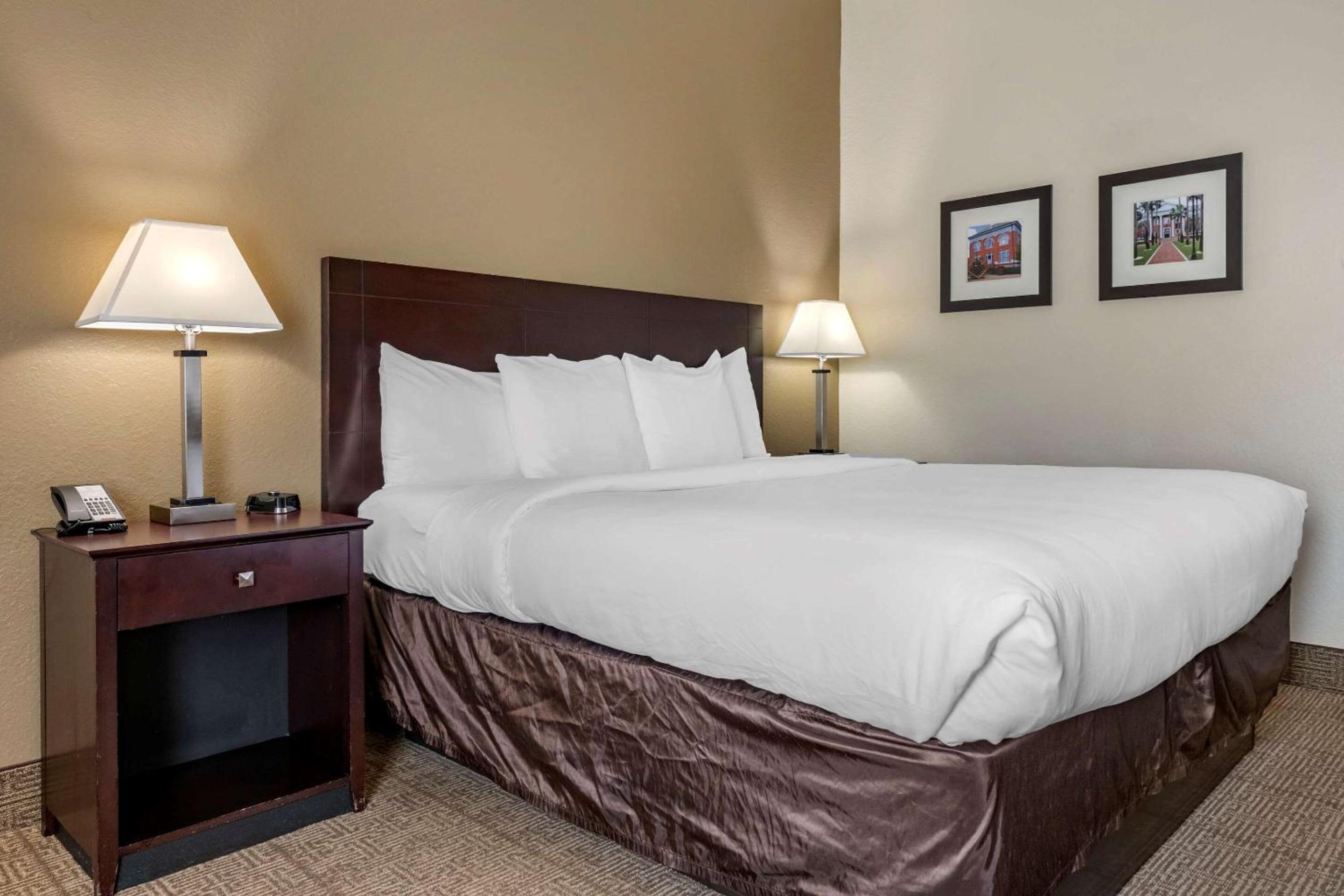 Comfort Inn & Suites DeLand - near University, Photo 4