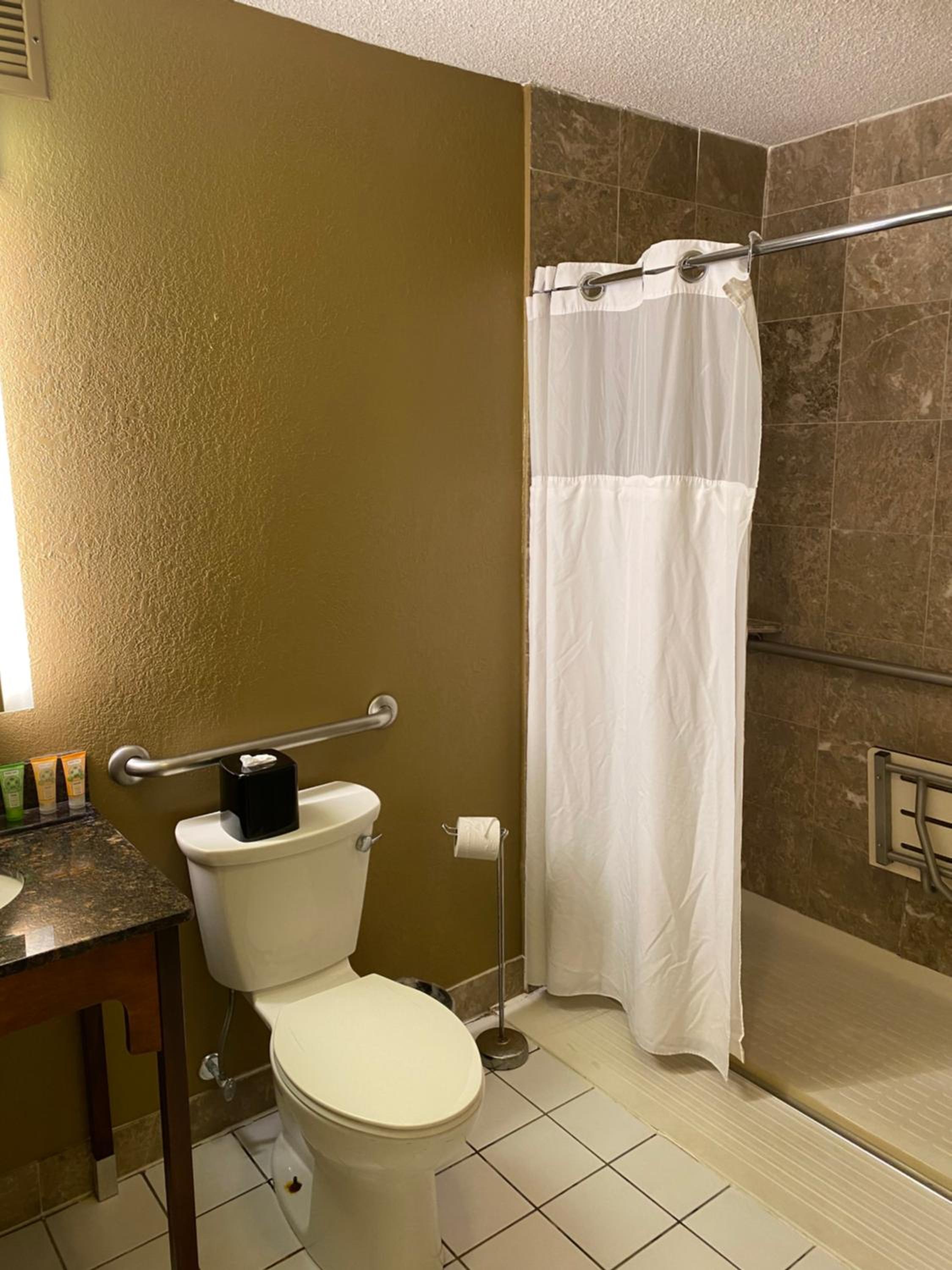 Mobility Accessible 1 King Bed Non Smoking, Free Wi-Fi - Photo 3