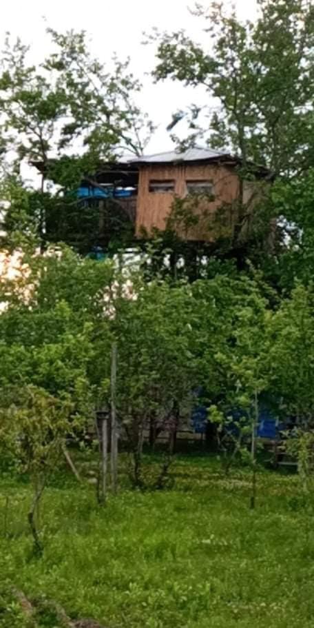Apartment with Mountain View photo 1
