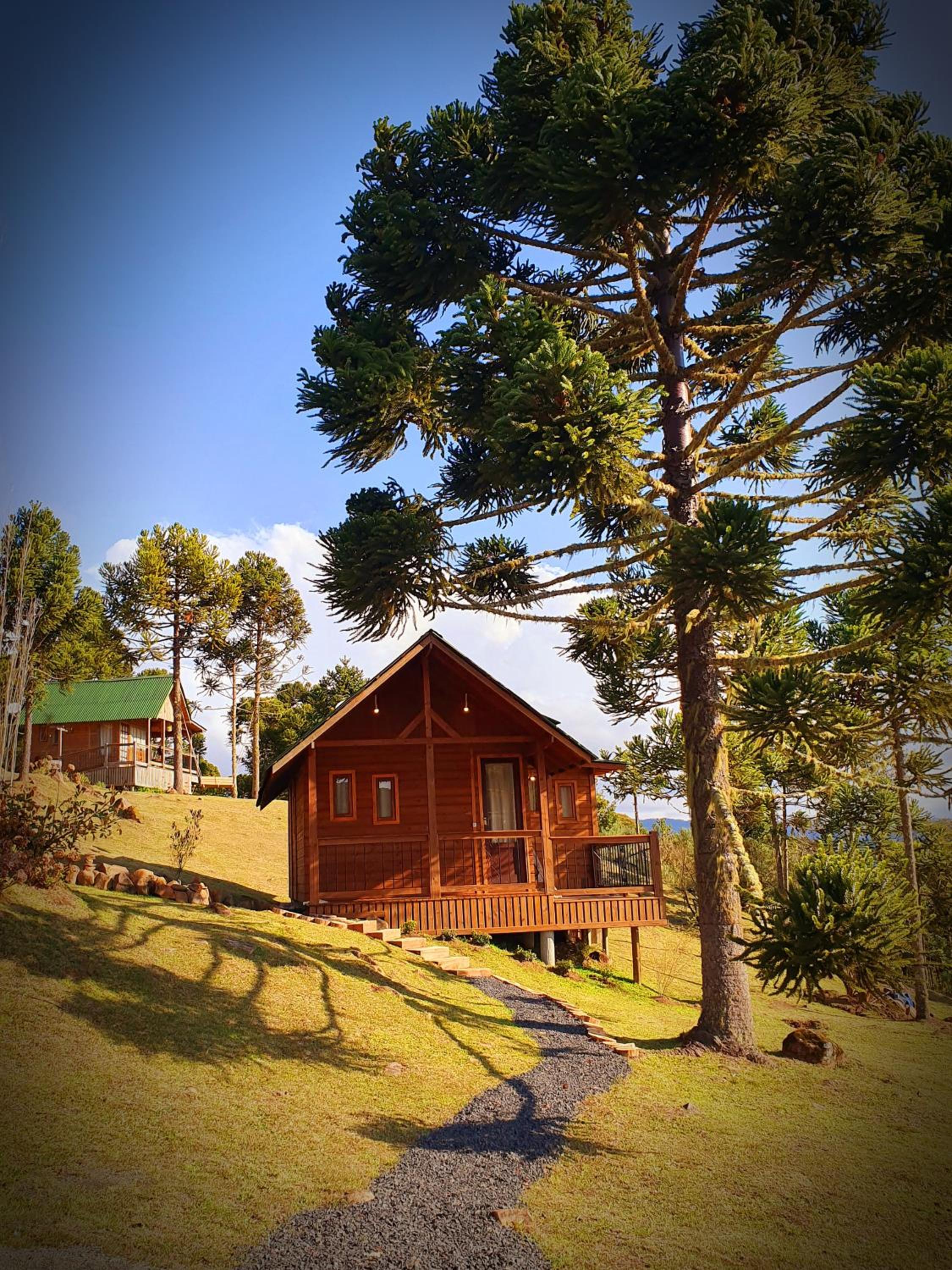 One-Bedroom Chalet photo 2