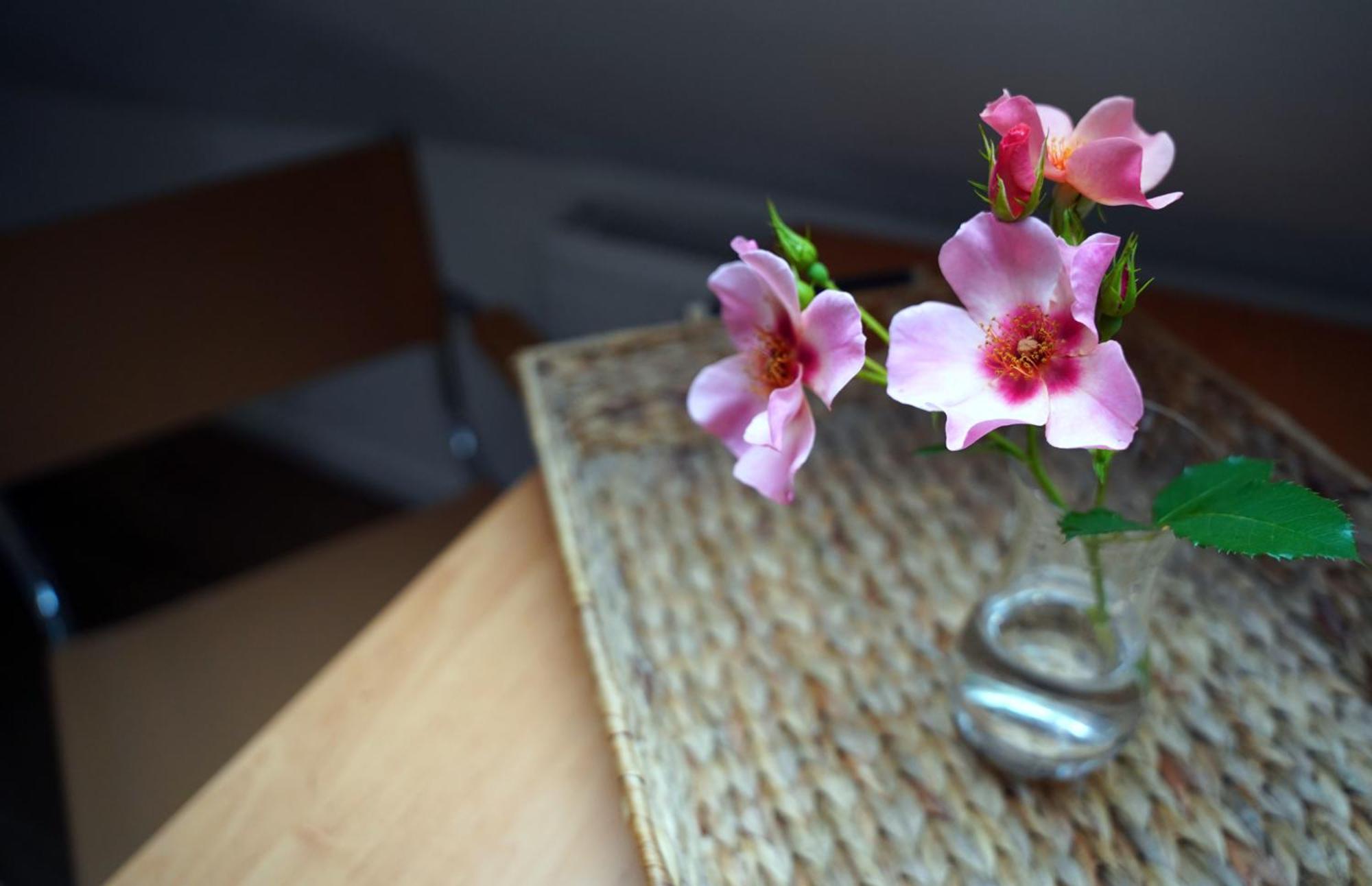 Studio Apartment - Photo 9