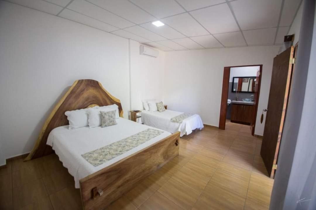 Twin Room photo 1