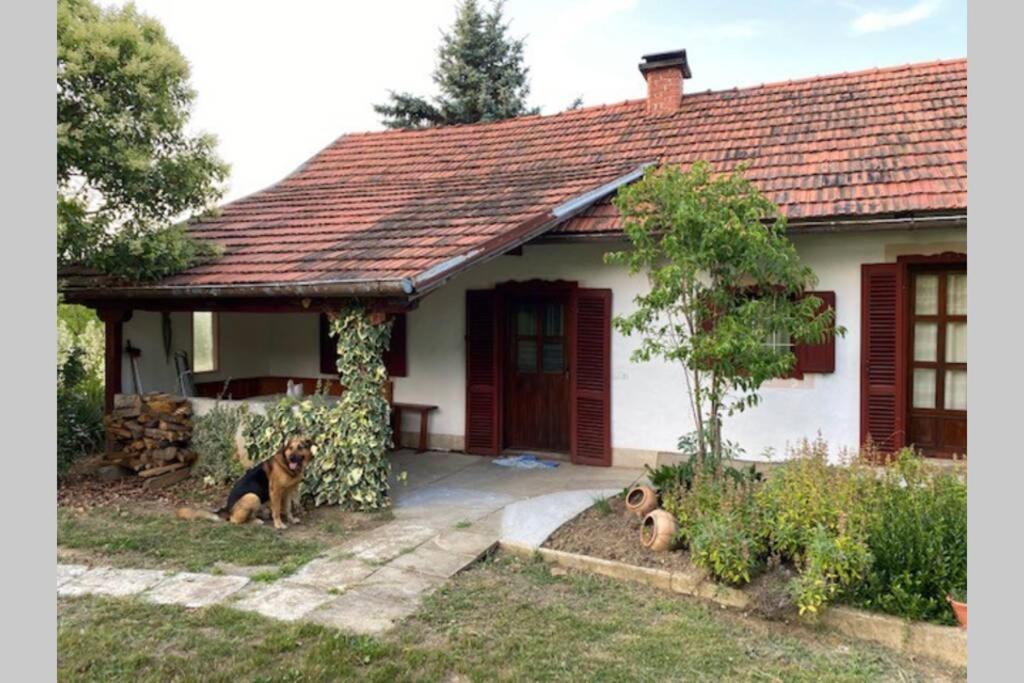 Two-Bedroom House photo 2