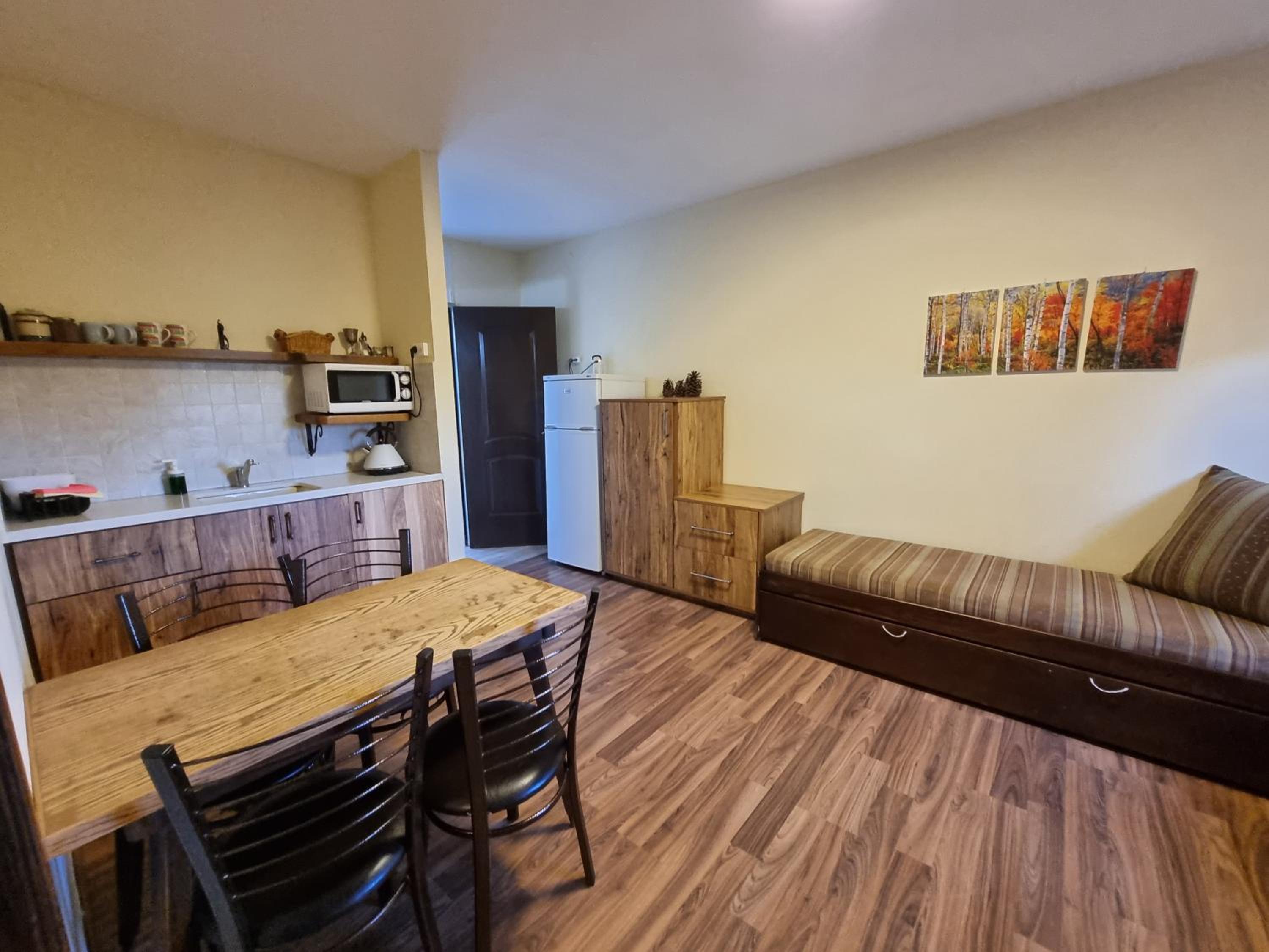One-Bedroom Apartment photo 2