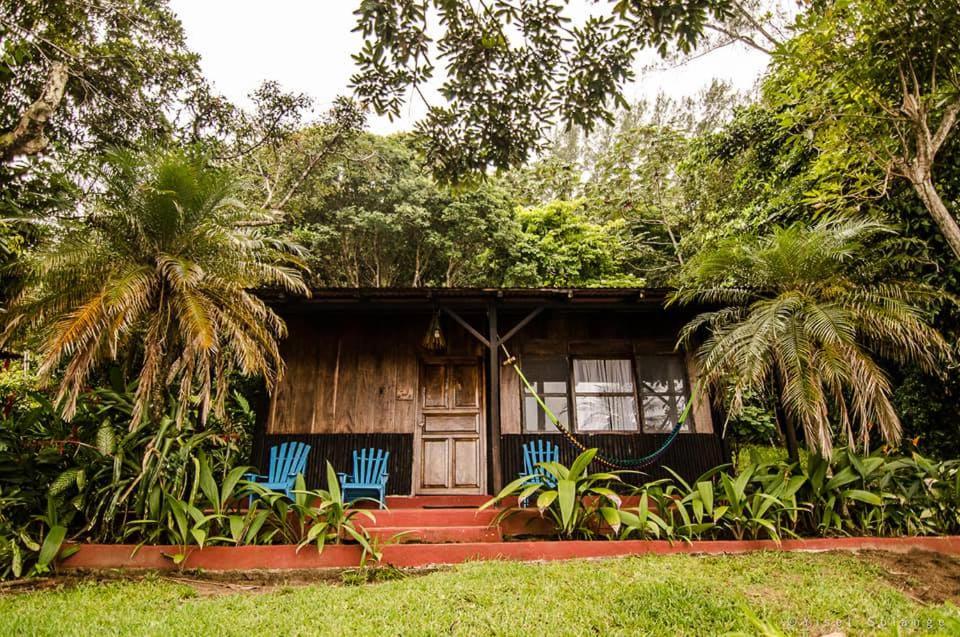 Family Bungalow photo 3