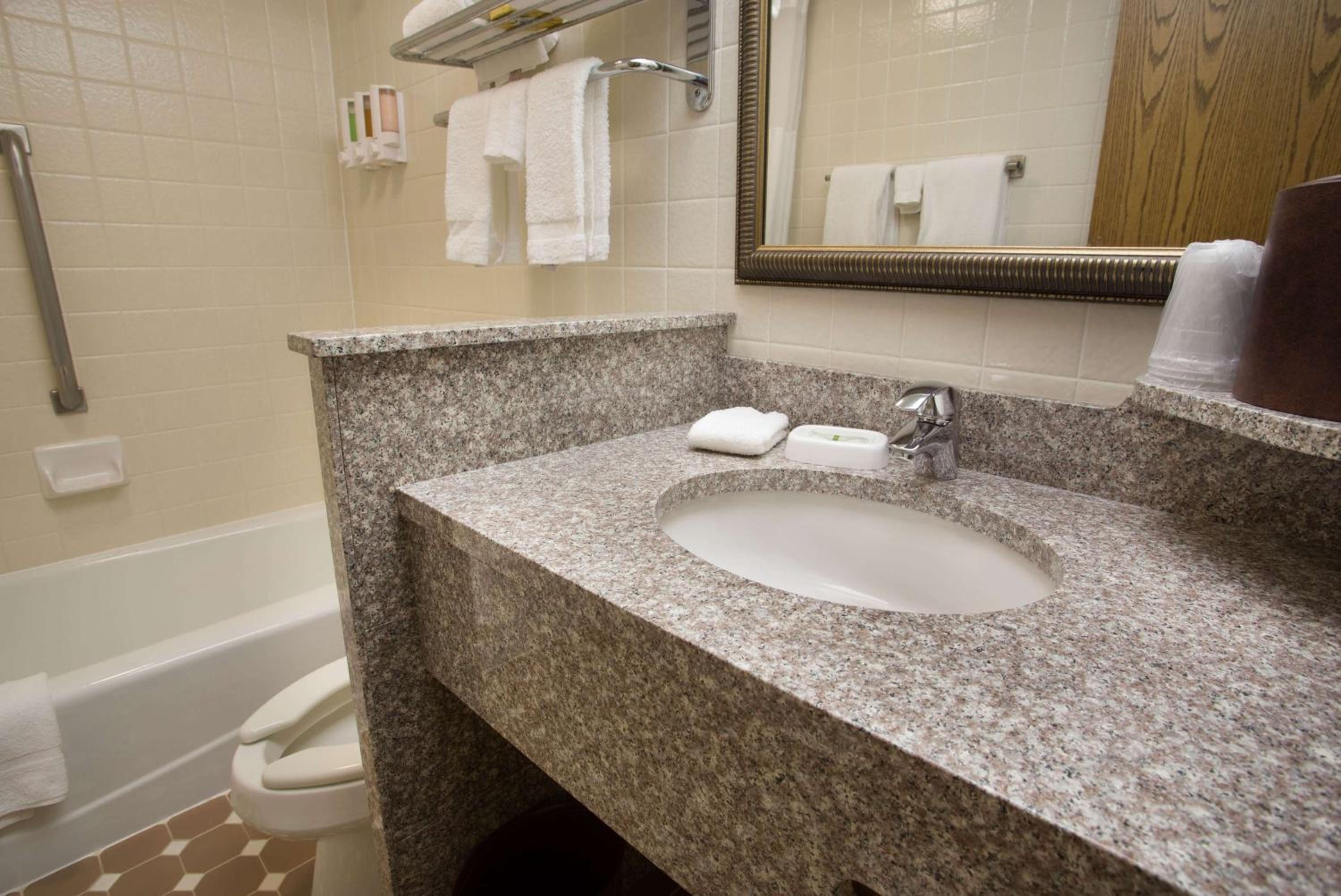 1 King Bed, Mobility Accessible Room, Bathtub w/ Grab Bars, Non-Smoking - Photo 13