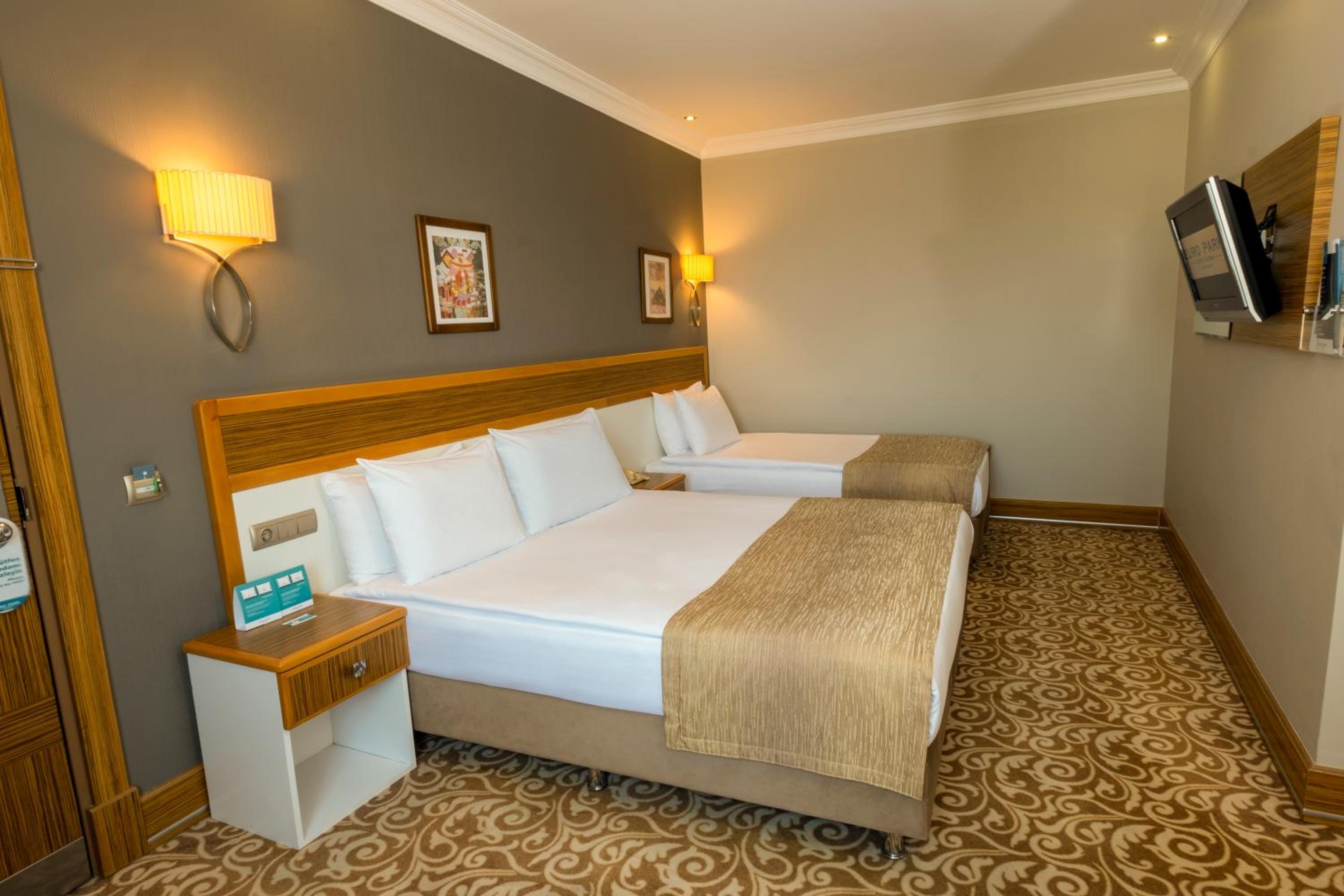 Basic Triple Room