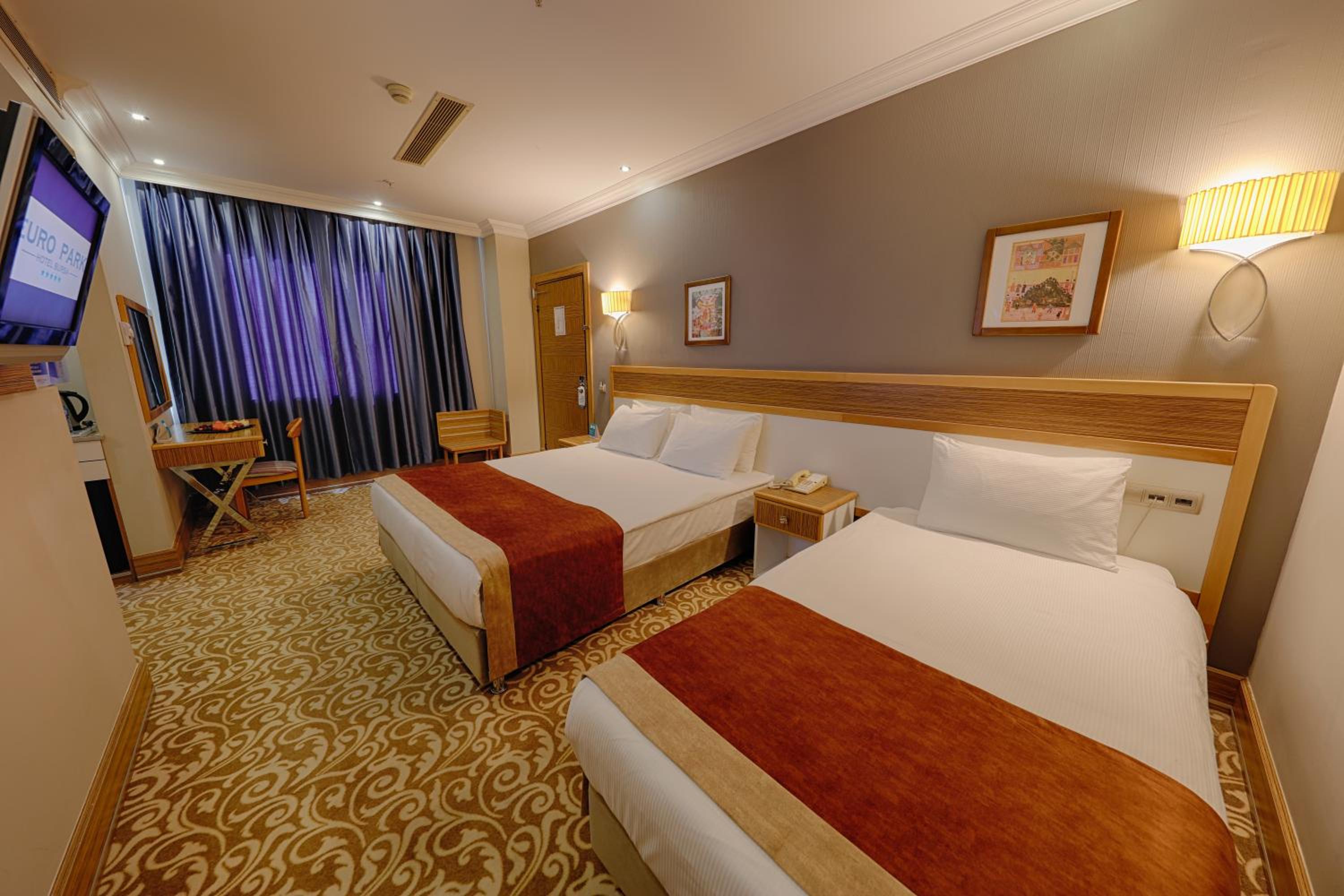 Basic Triple Room