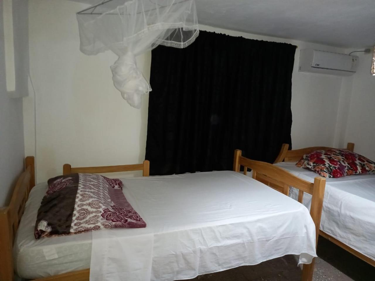 Twin Room photo 3