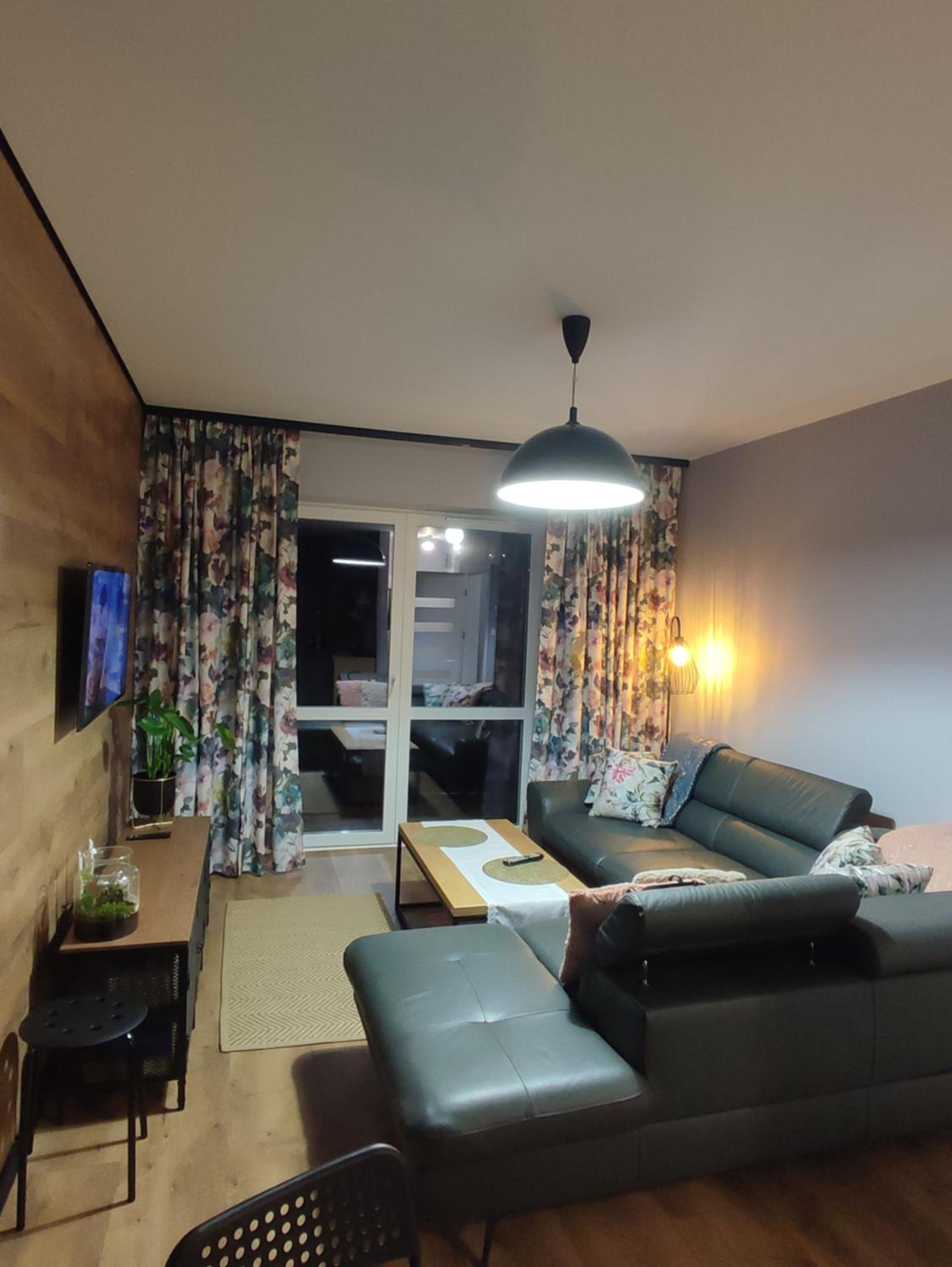 One-Bedroom Apartment photo 3