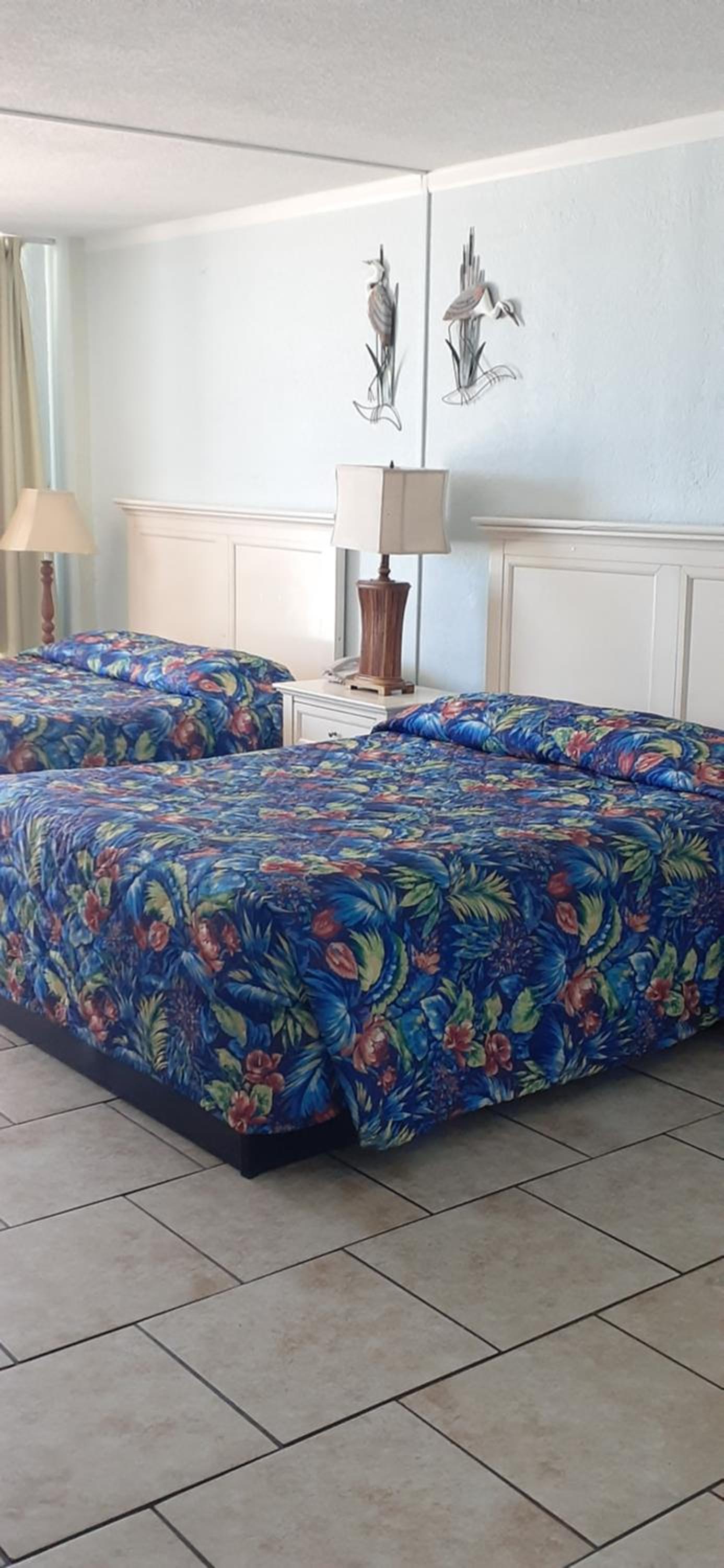 Studio with Kitchen - Oceanfront - Photo 4