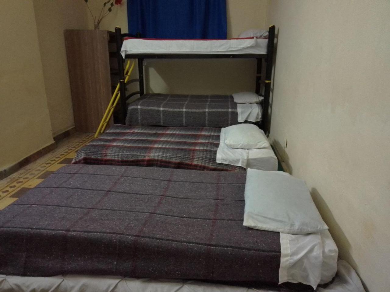 Single Bed In Mixed Dormitory Room photo 1