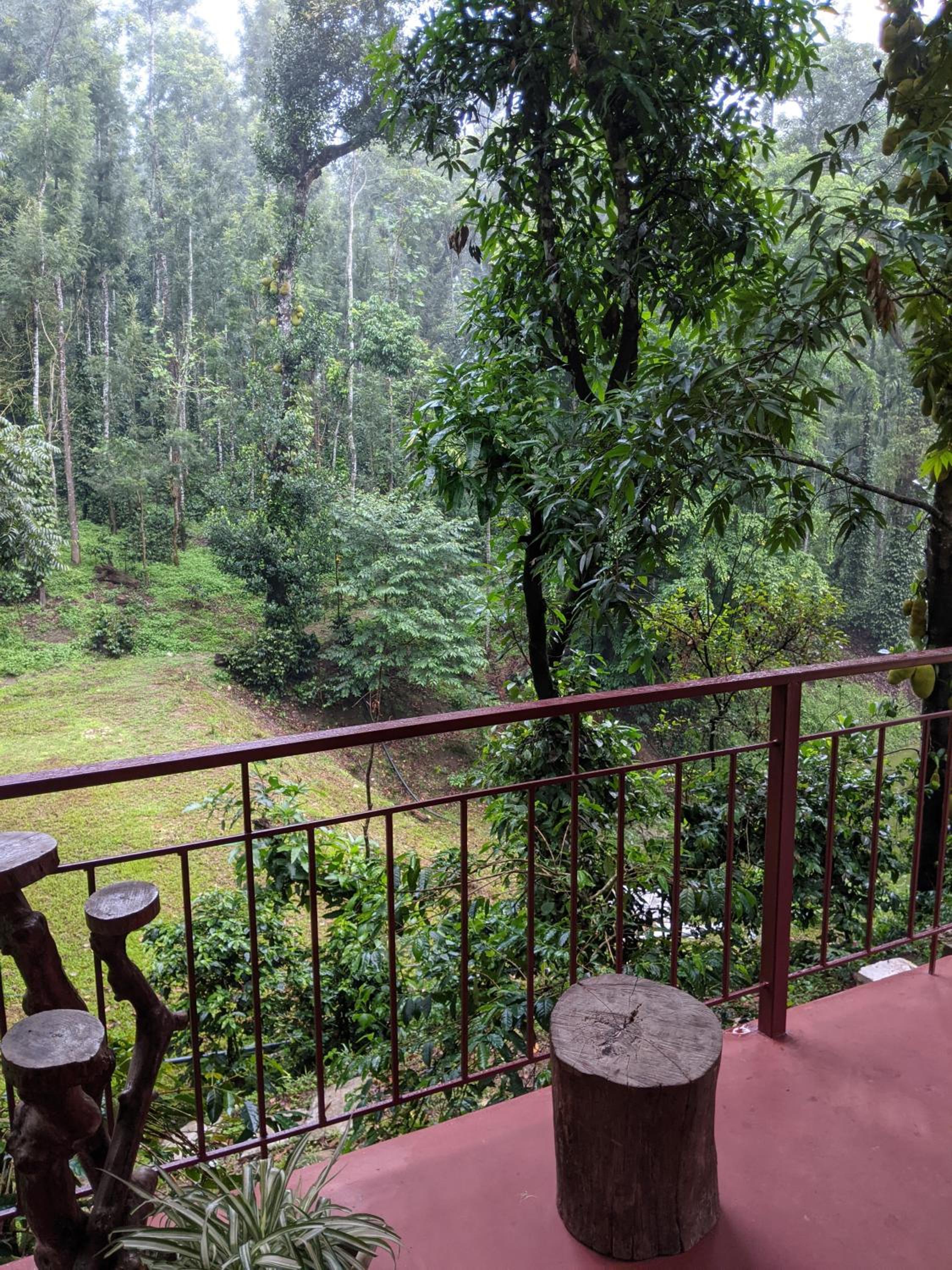 Deluxe Double Room with Balcony photo 3