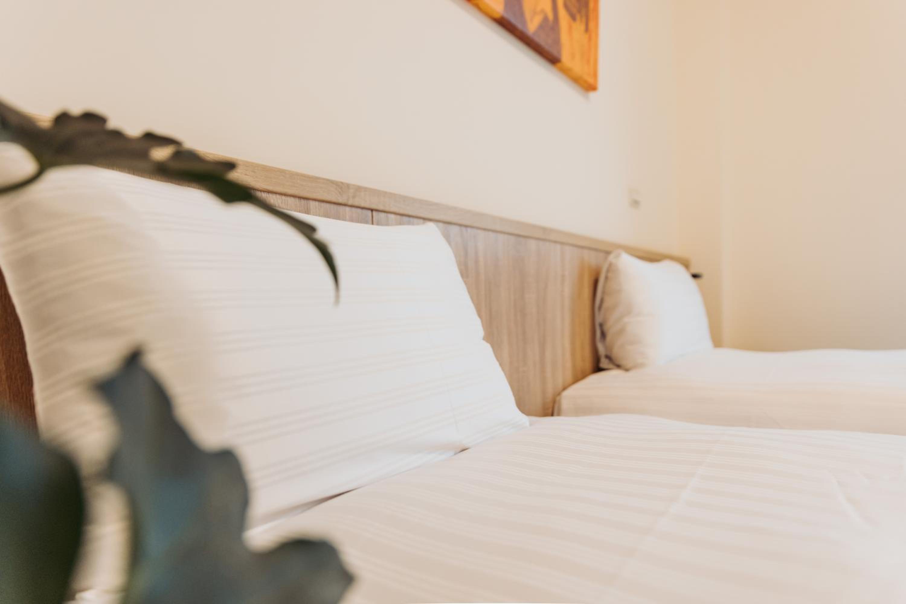 Standard Double or Twin Room with Balcony photo 3