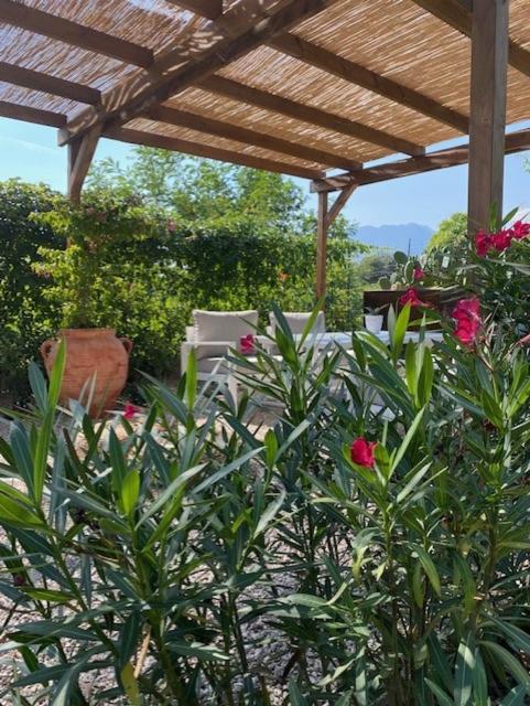 Apartment with Garden View - Photo 19