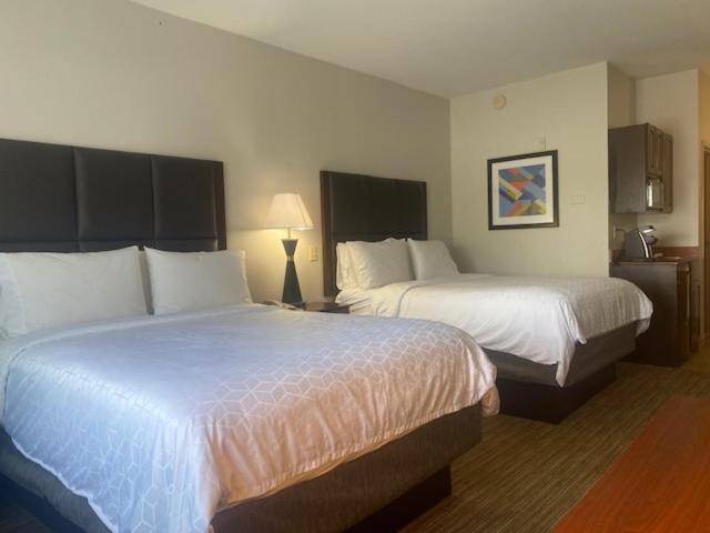 Standard Room - Photo 1