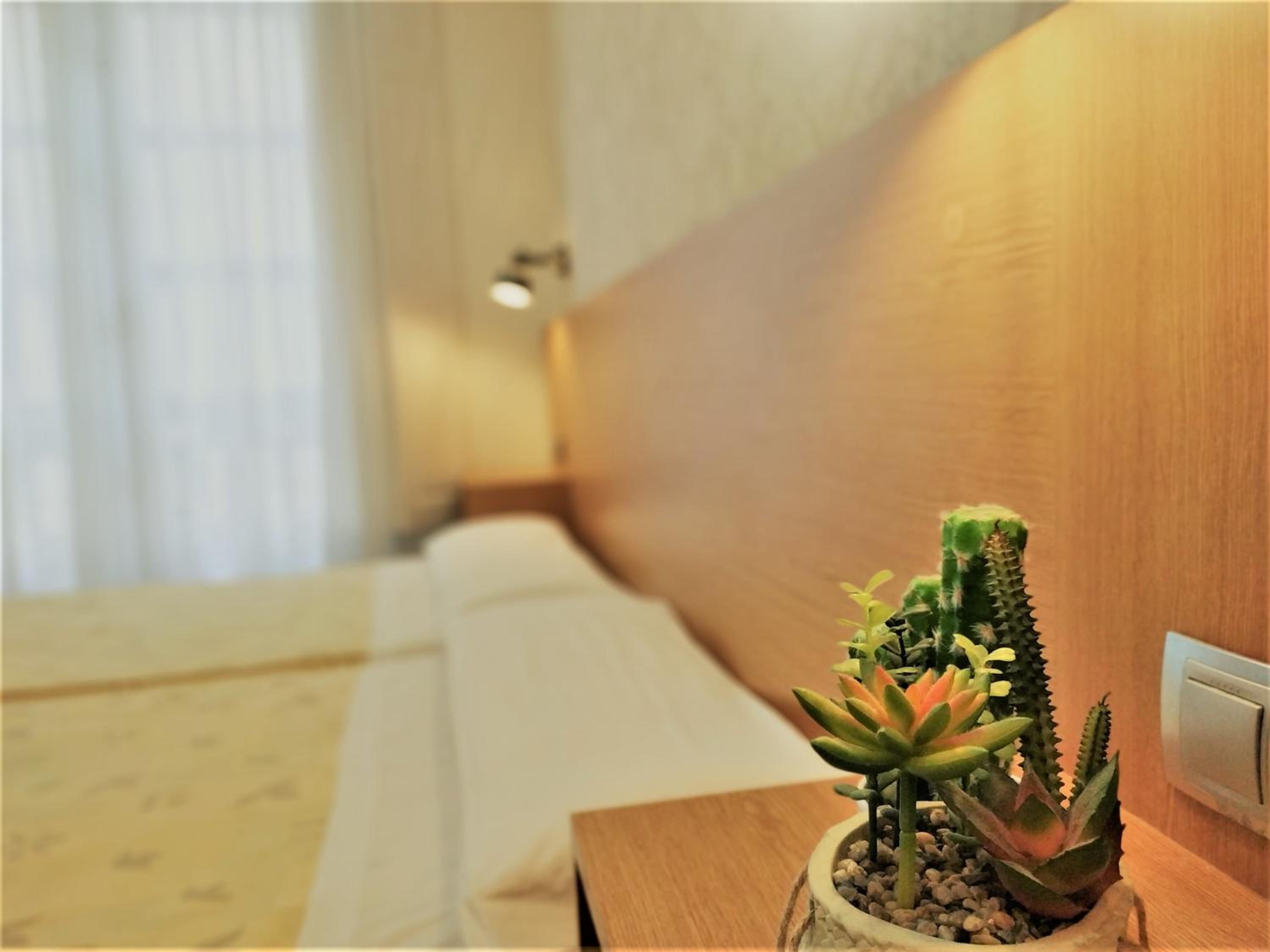 Double or Twin Room with Private Bathroom - Photo 6