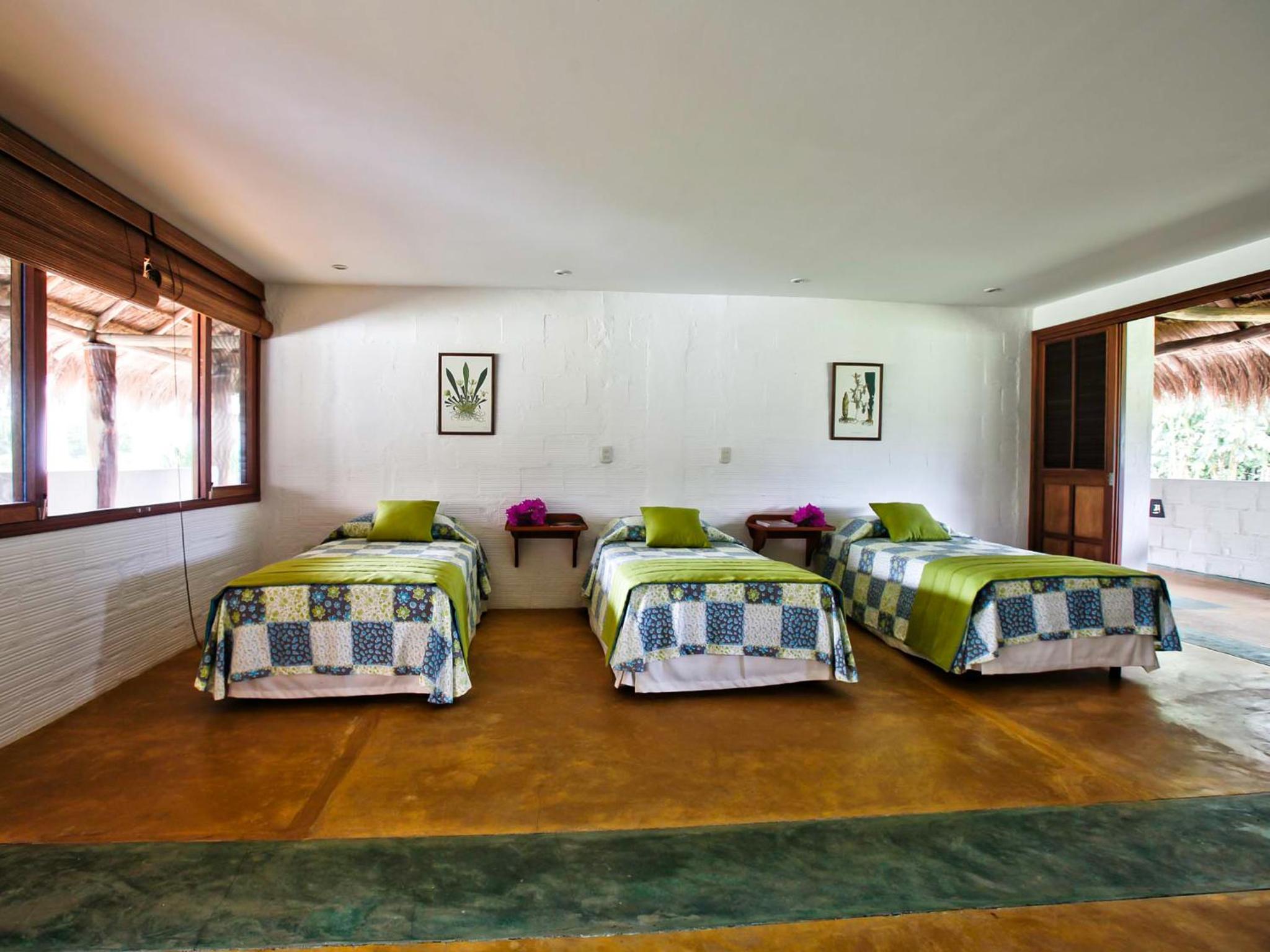 Triple Room photo 1
