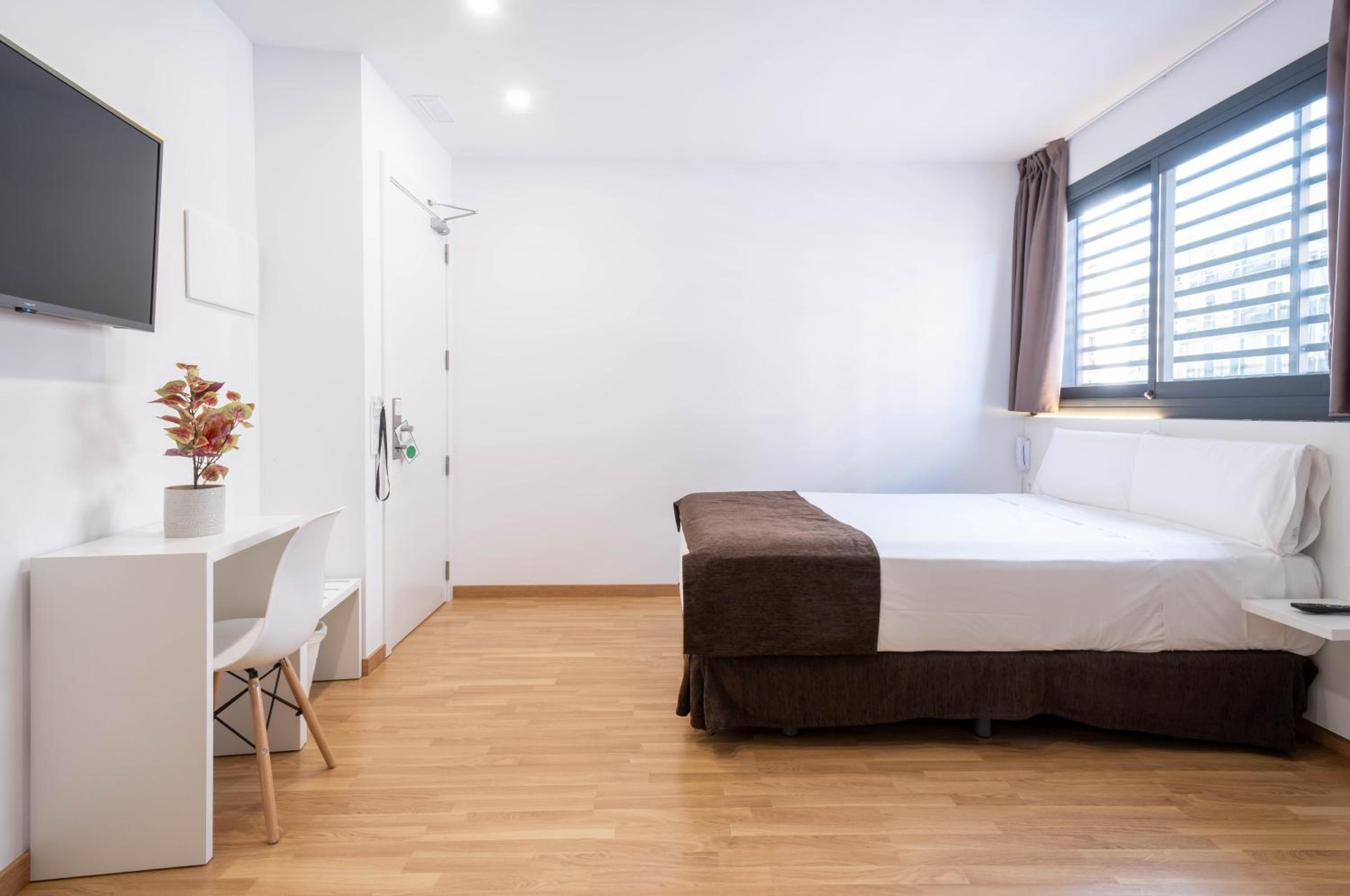 Deluxe Double or Twin Room photo 3