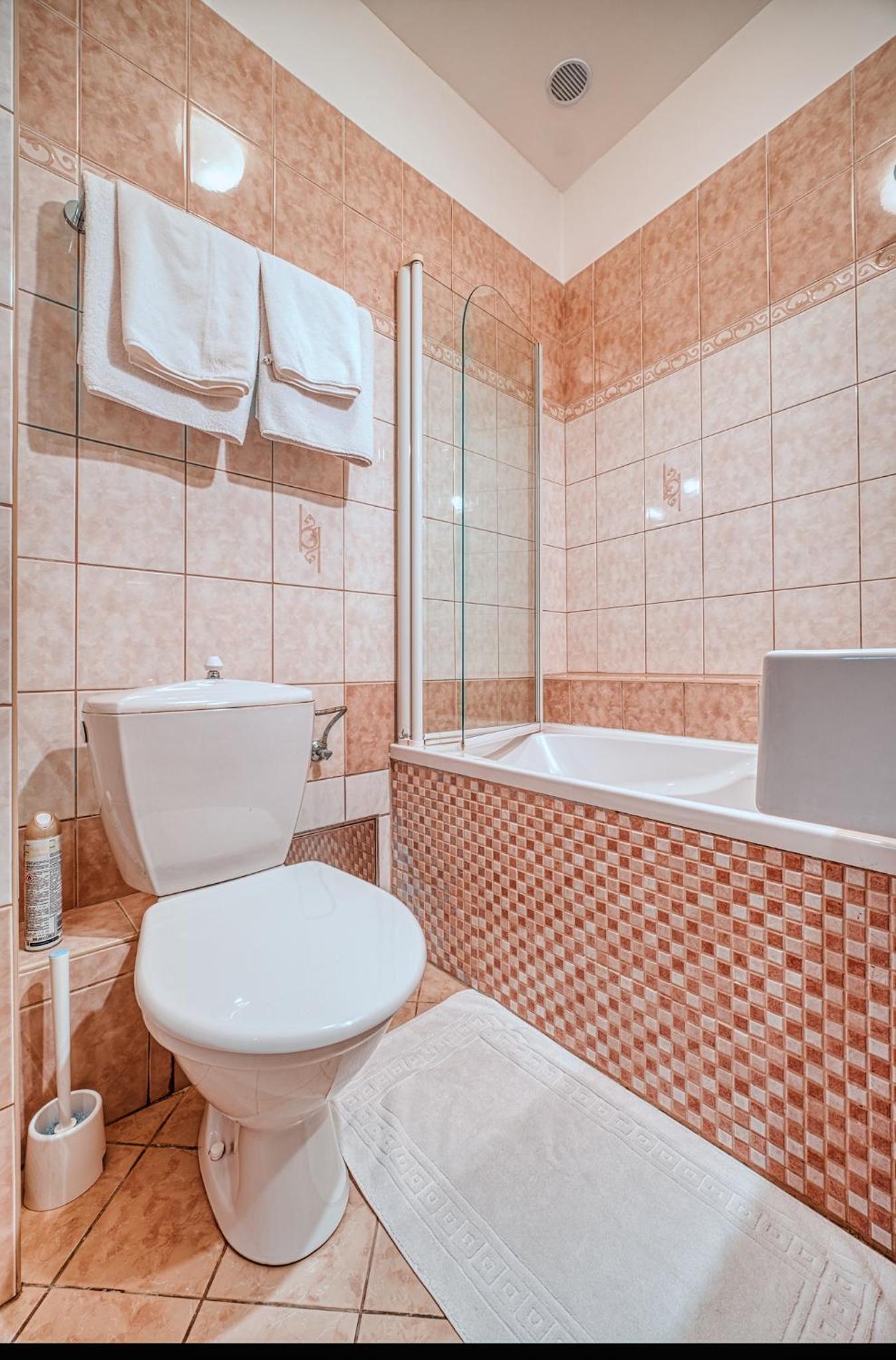 One-Bedroom Apartment thumbnail 6