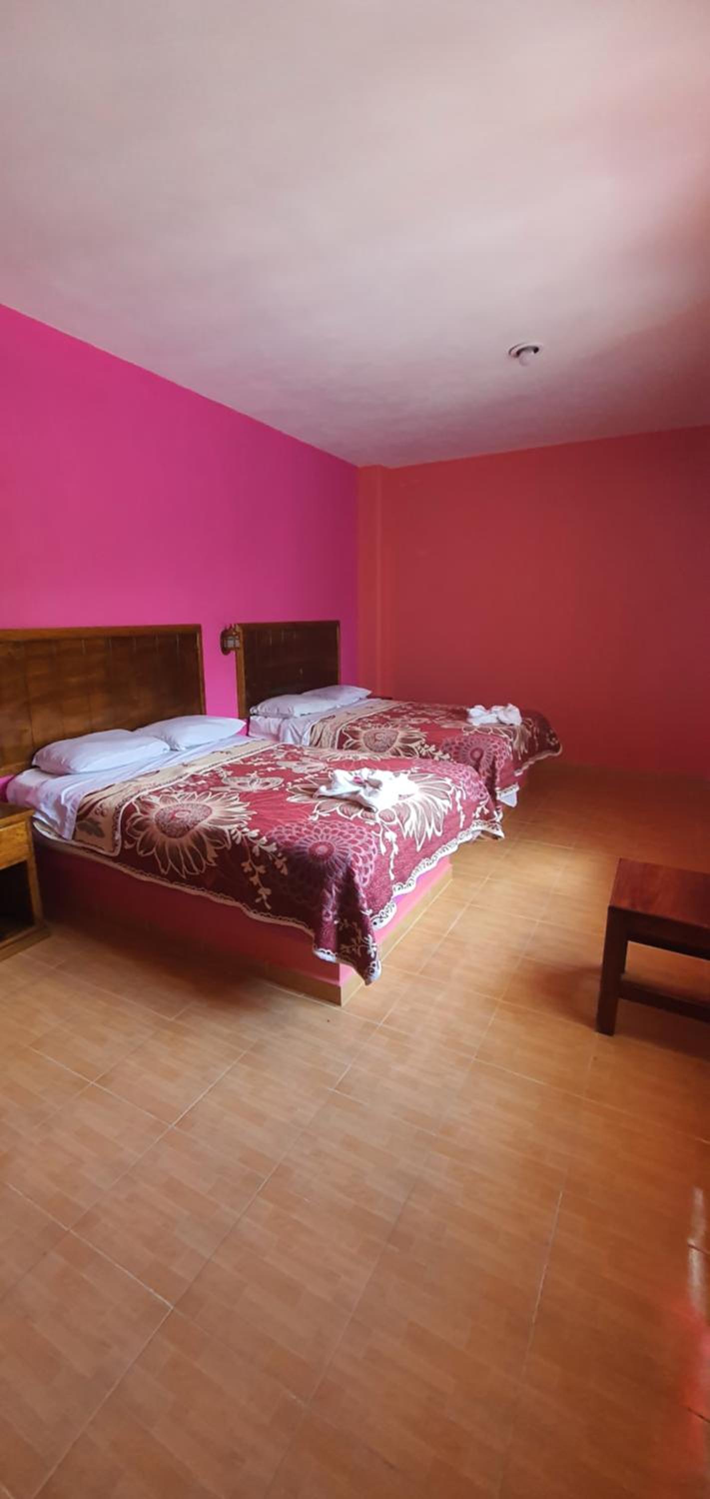 Economy Twin Room photo 1