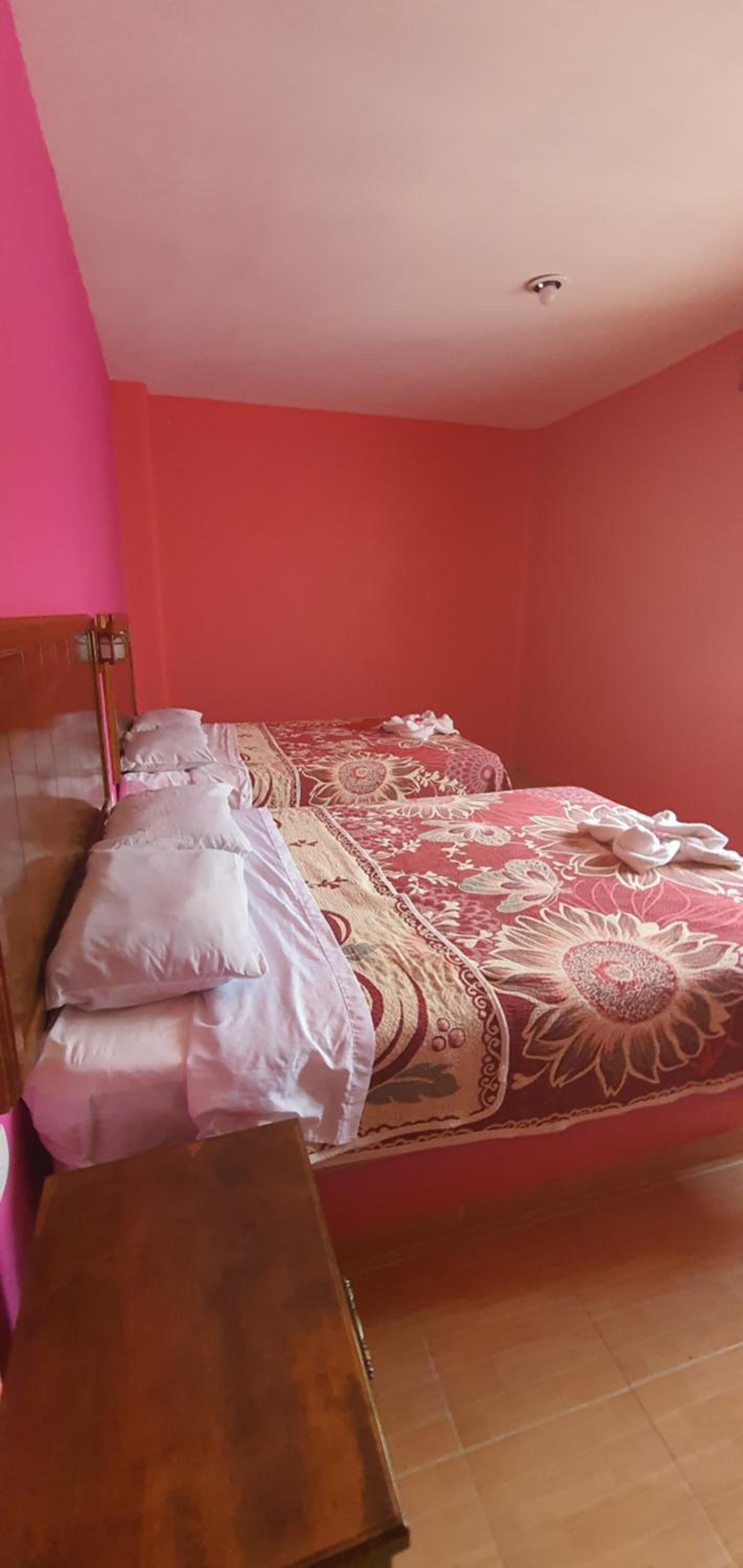 Economy Twin Room photo 2