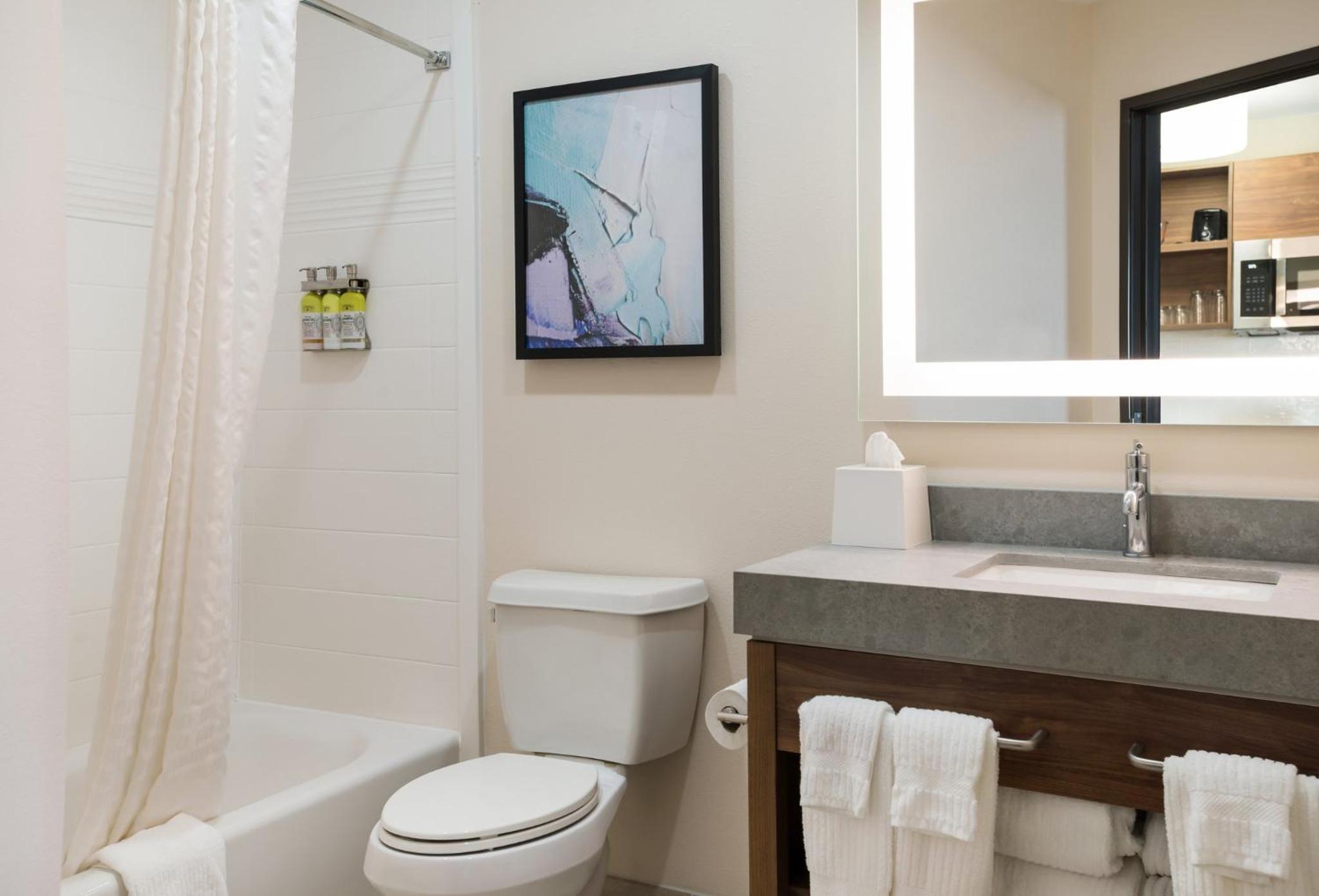 One-Bedroom Queen Suite, photo 6