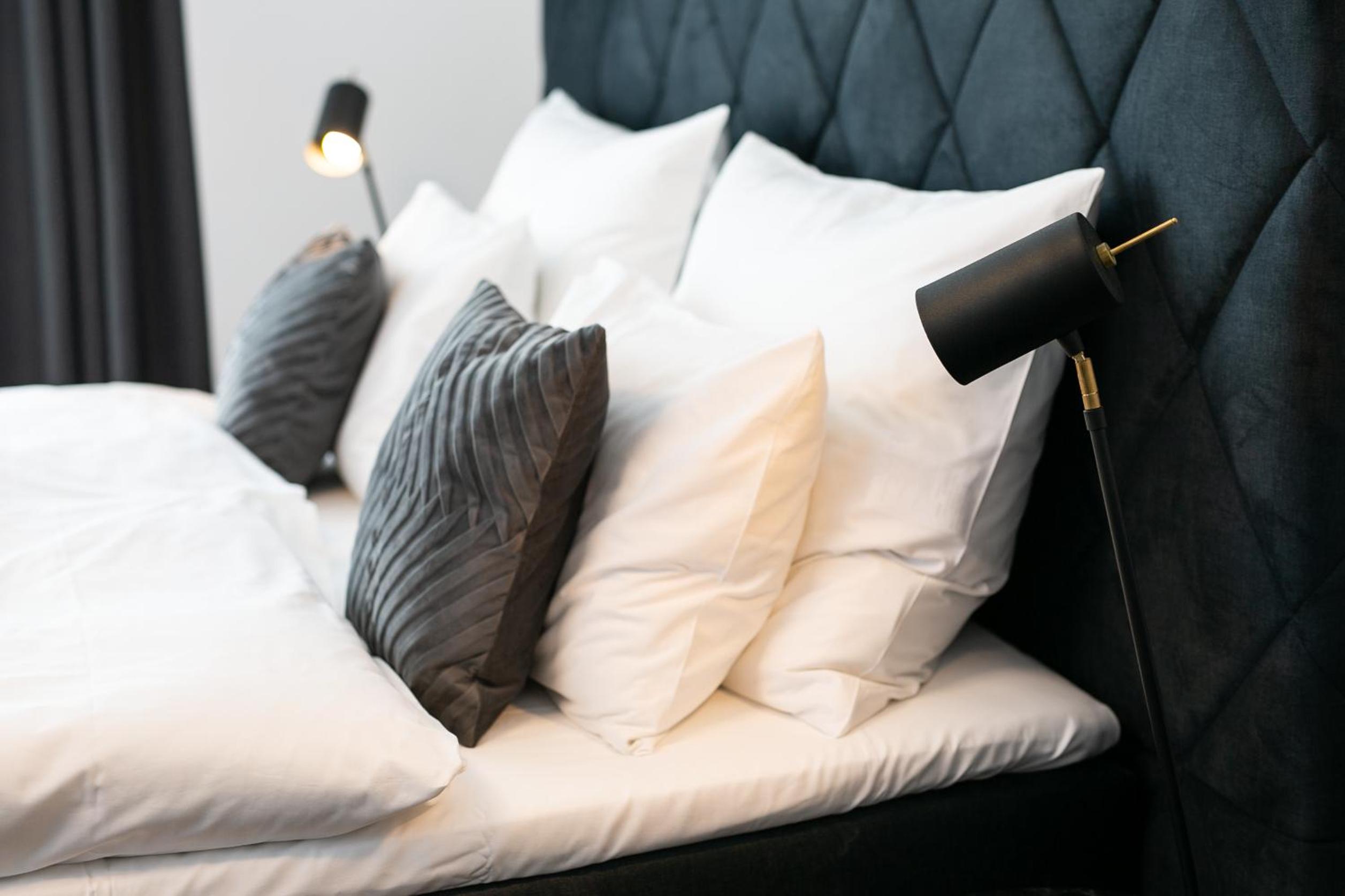 Deluxe King Suite - Photo 1