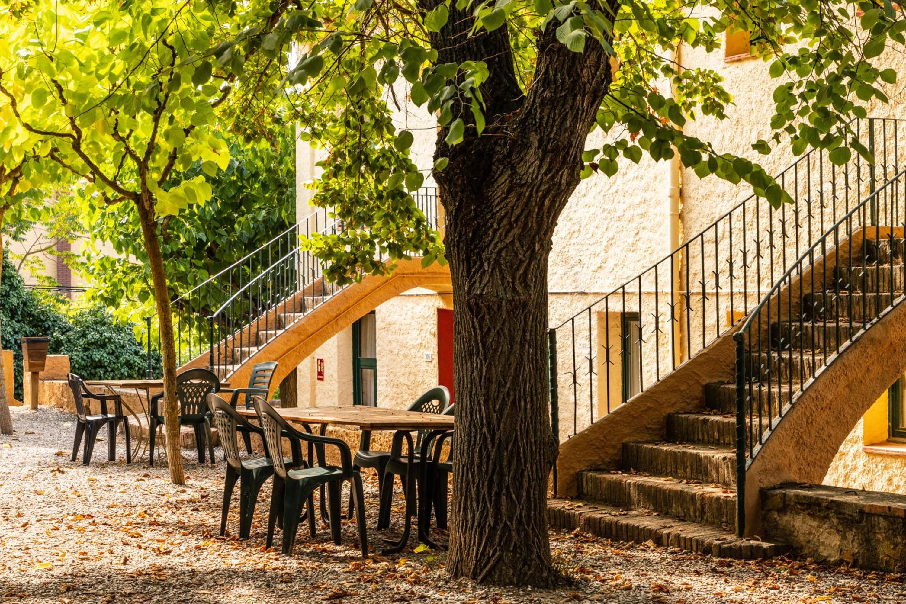 Apartamento Superior (7-8 Adultos)