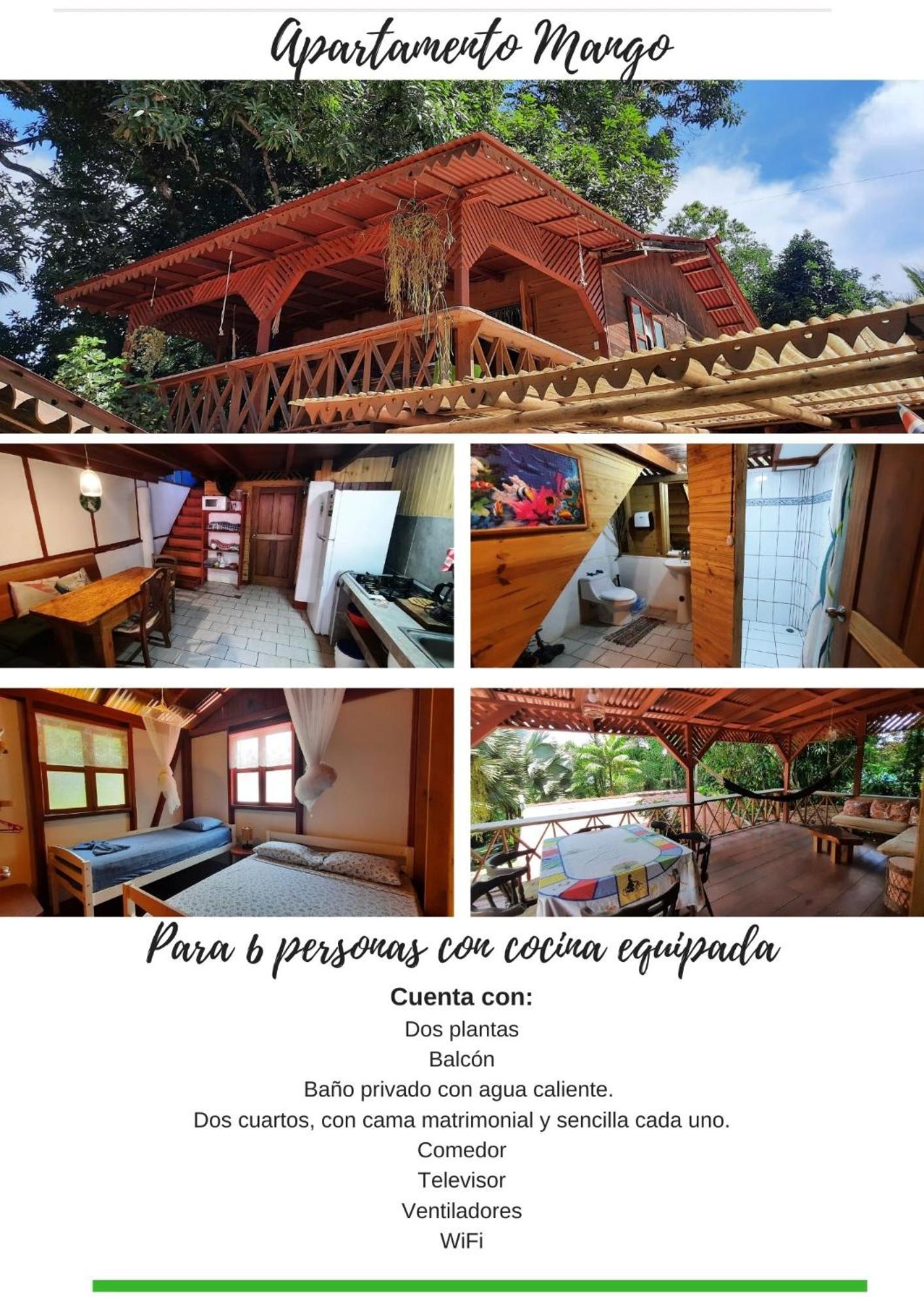 Two-Bedroom House - Photo 10