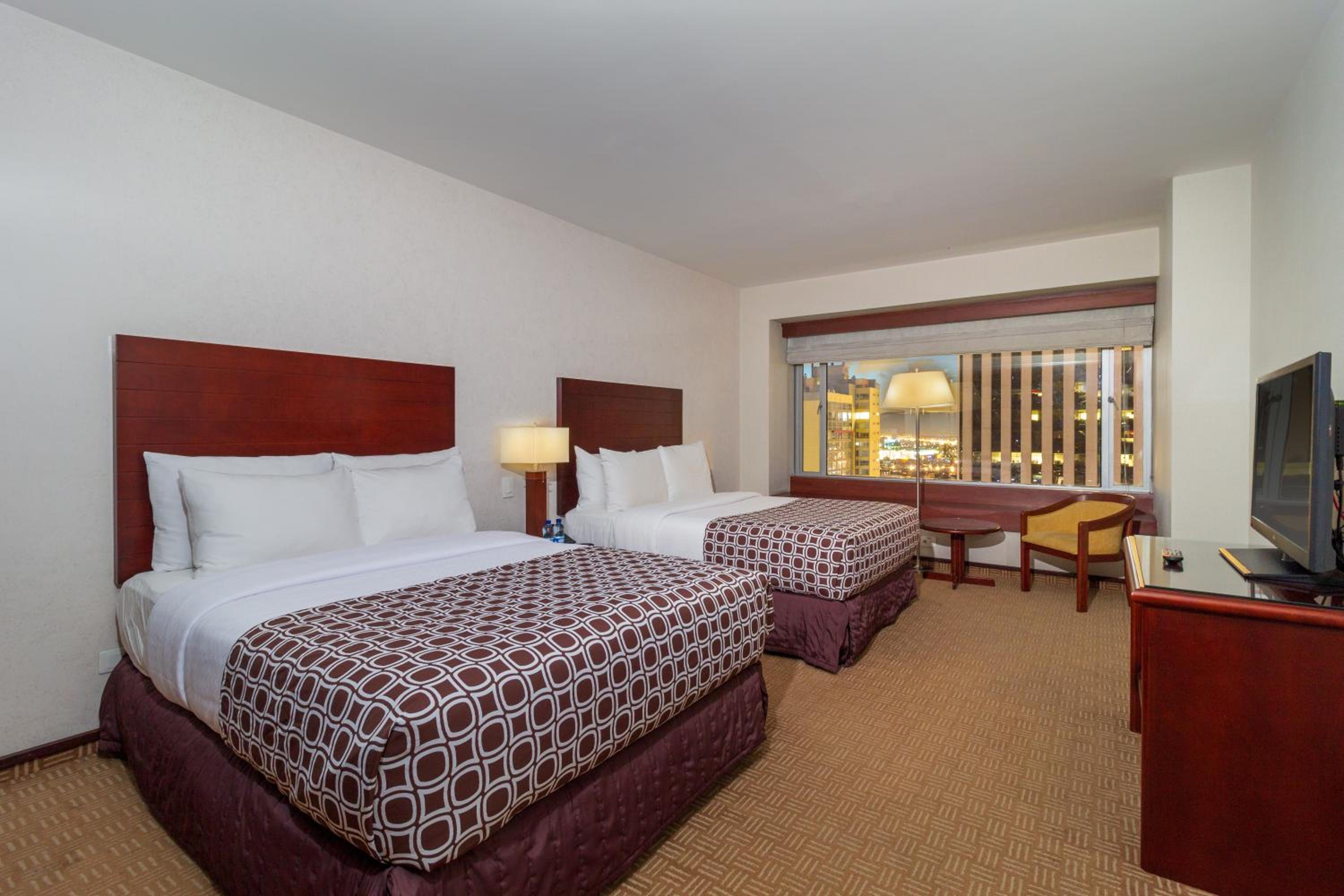 Family Suite - Photo 4