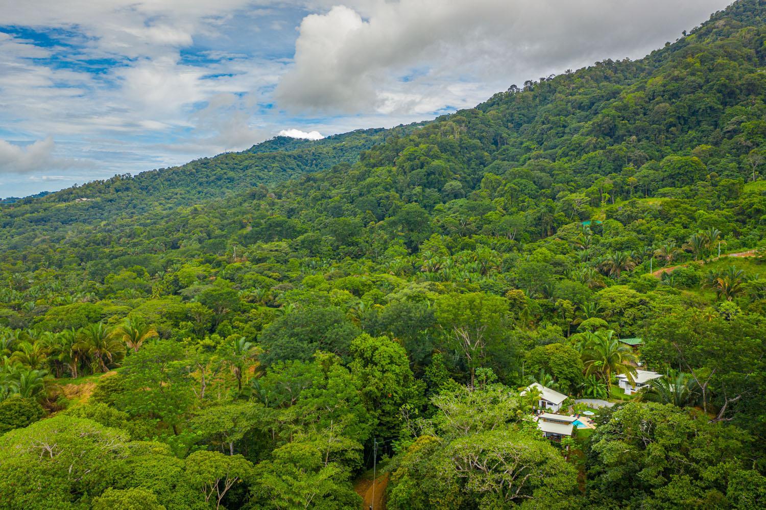 Deluxe Bungalow with Garden View photo 3